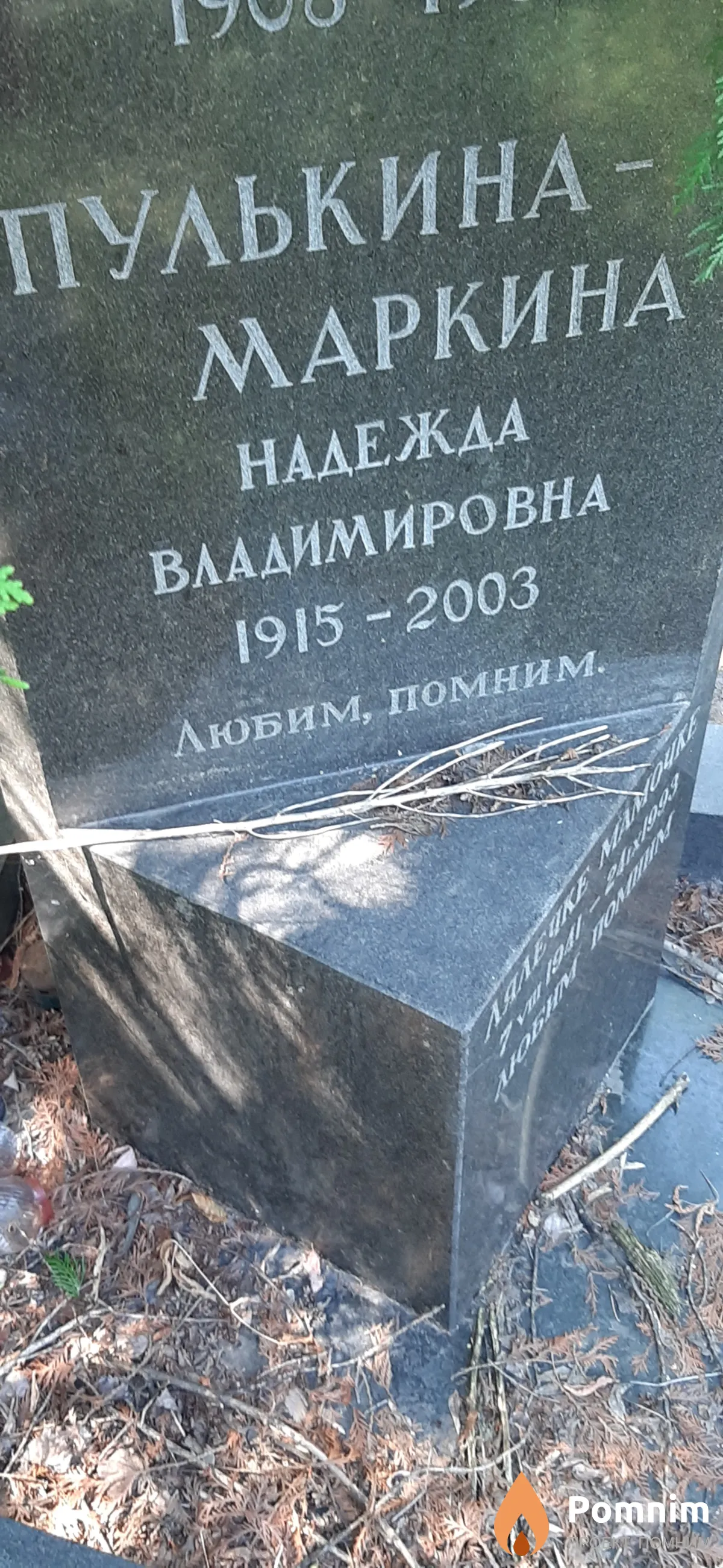 Пулькина-Маркина Надежда Владимировна