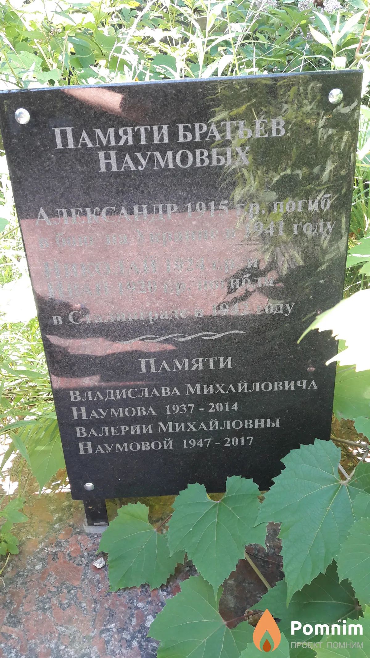 Наумов Николай