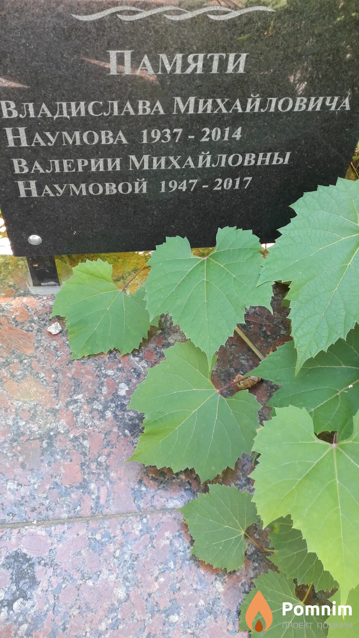 Наумов Владислав Михайлович