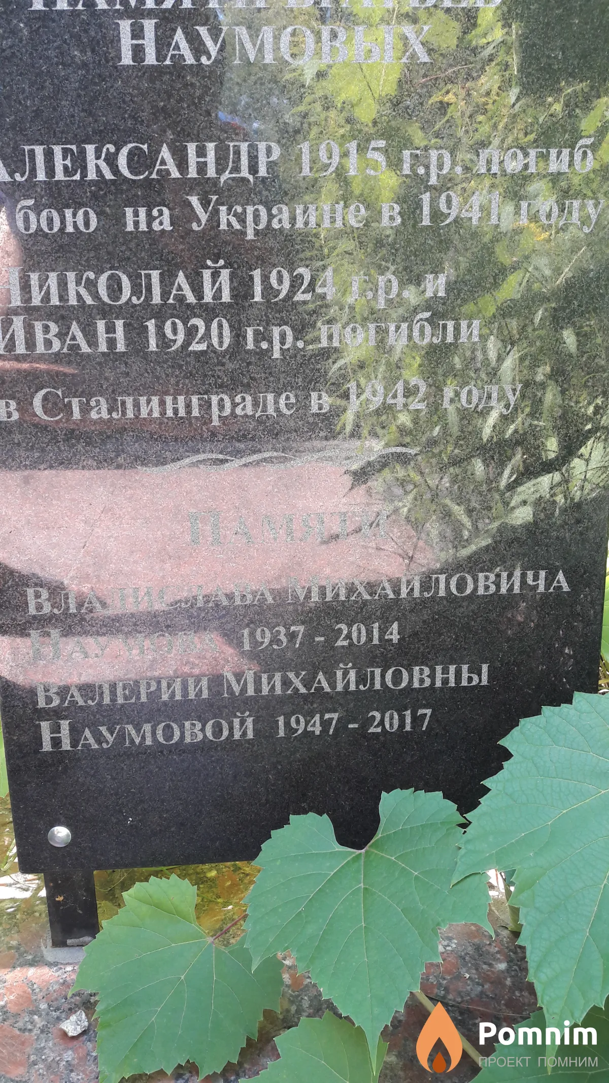 Наумова Валерия Михайловна