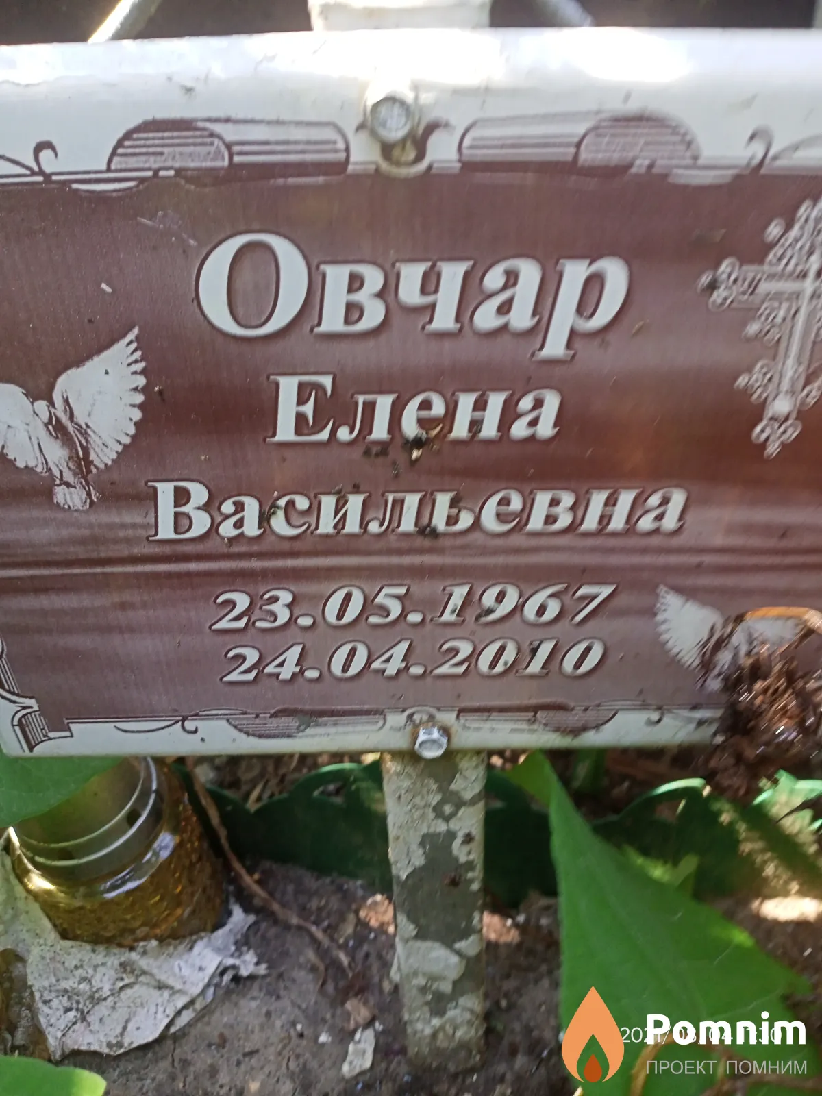 Овчар Елена Васильевна