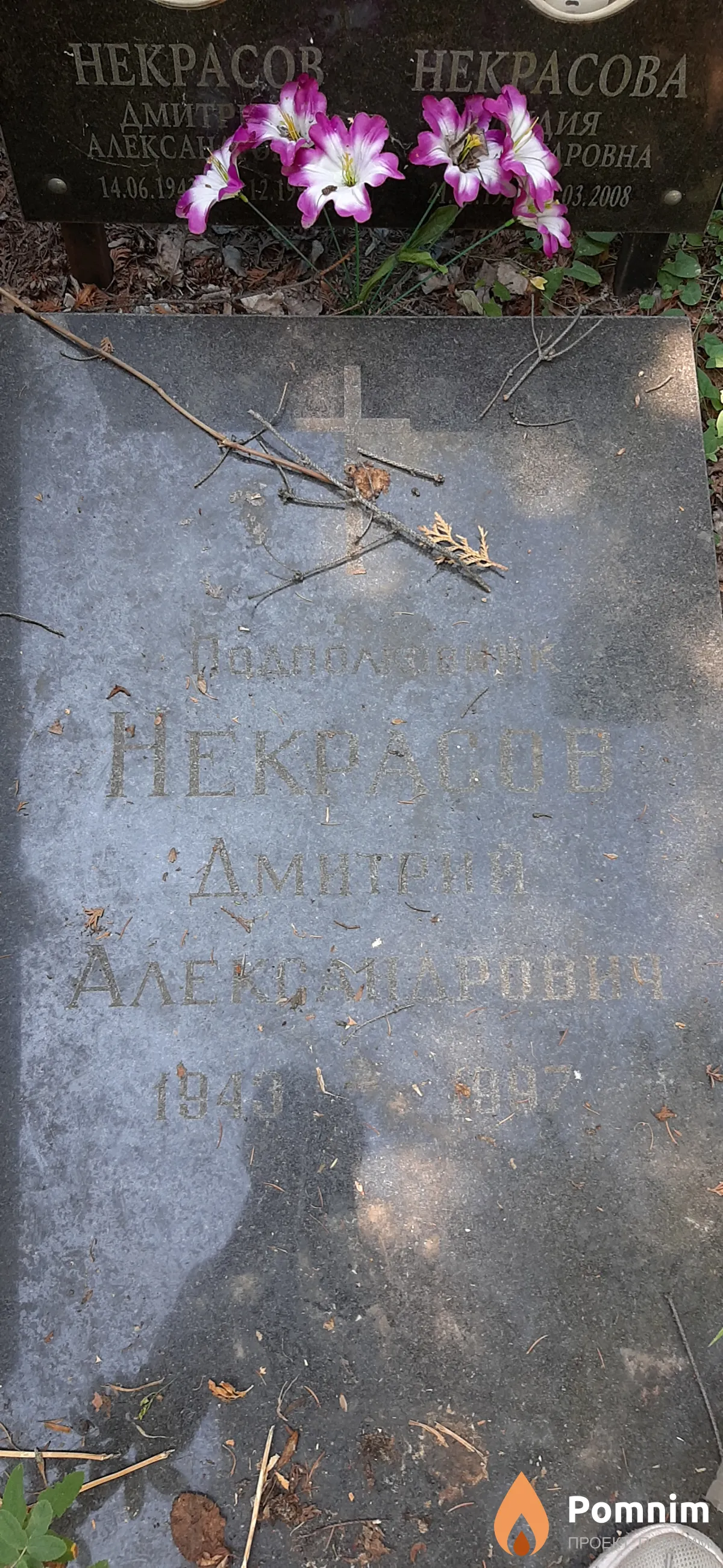 Некрасов Дмитрий Александрович