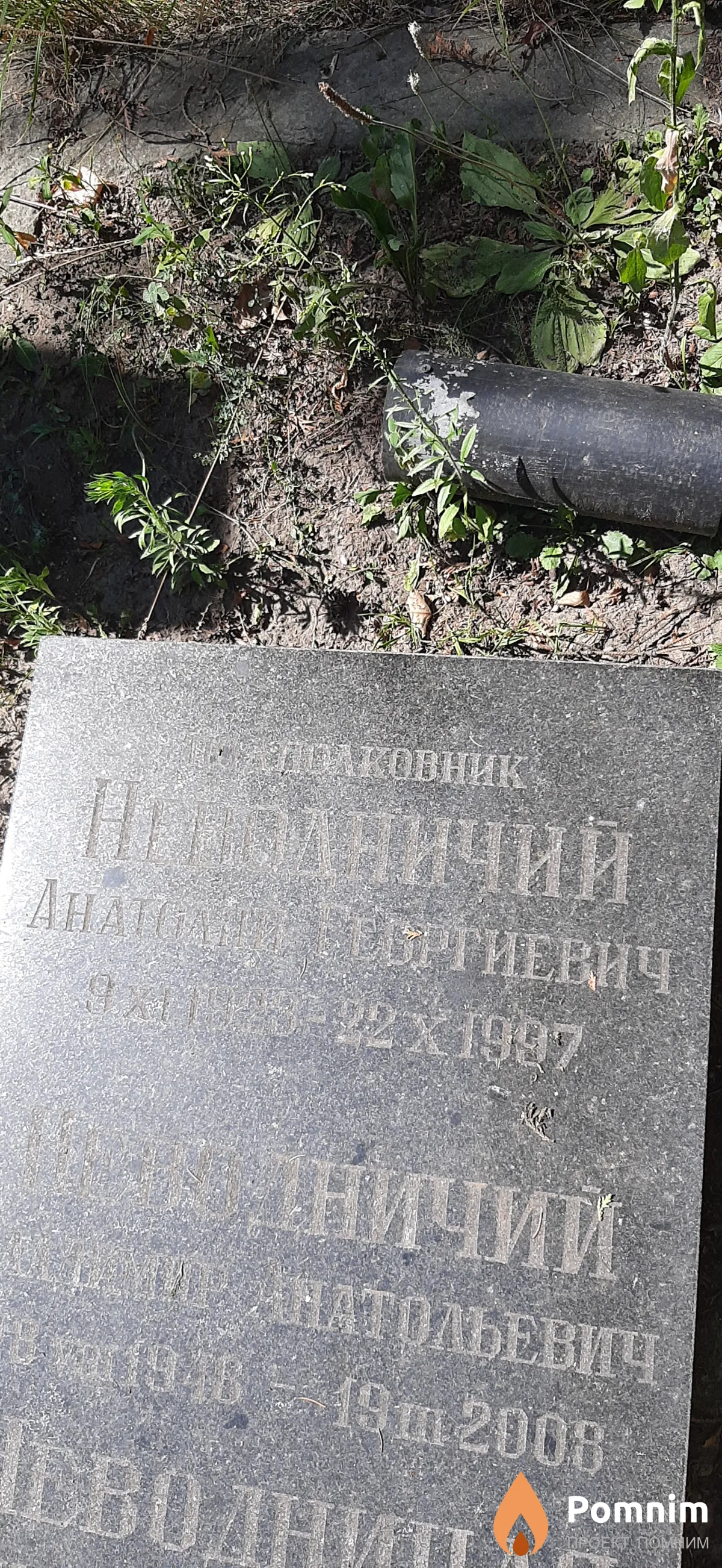 Неводничий Анатолий Георгиевич