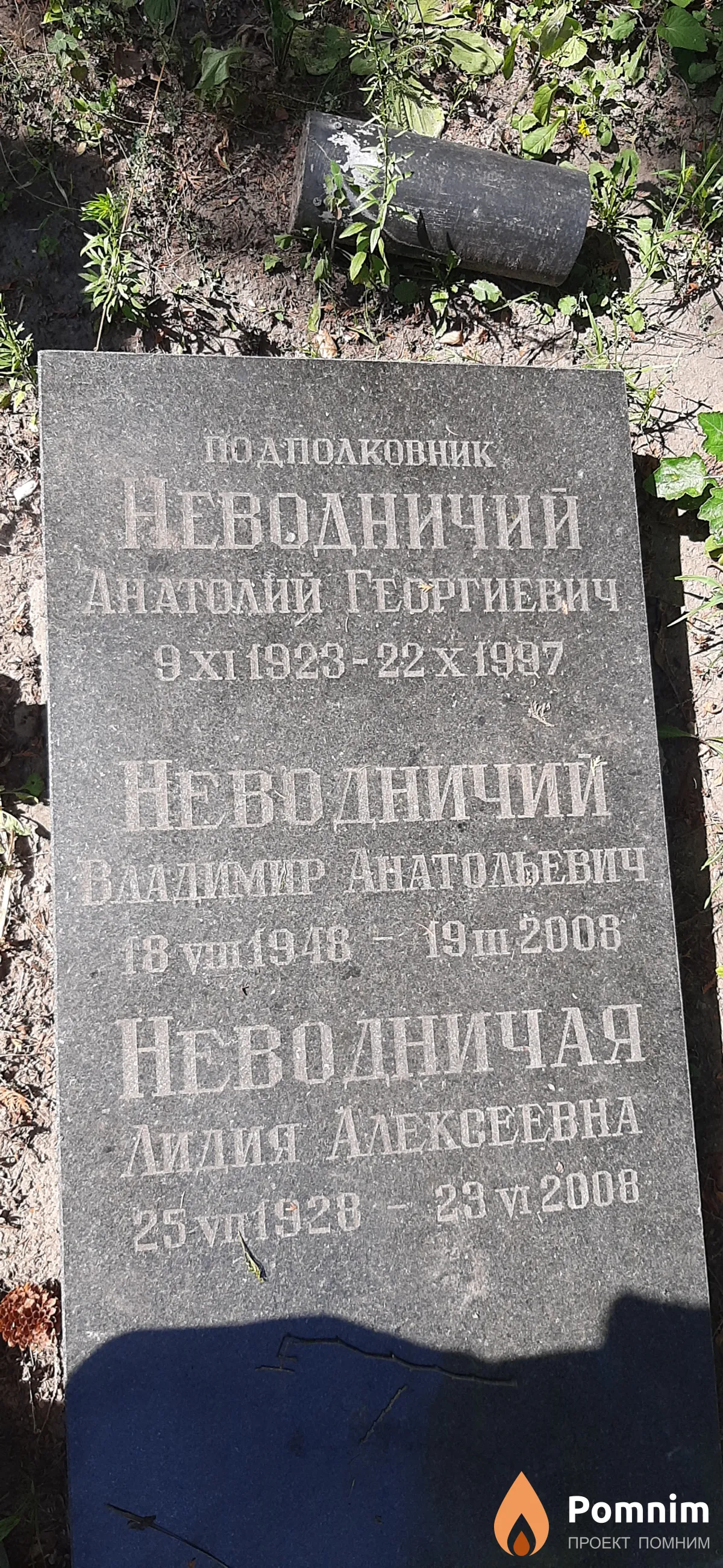 Неводничая Лилия Алексеевна