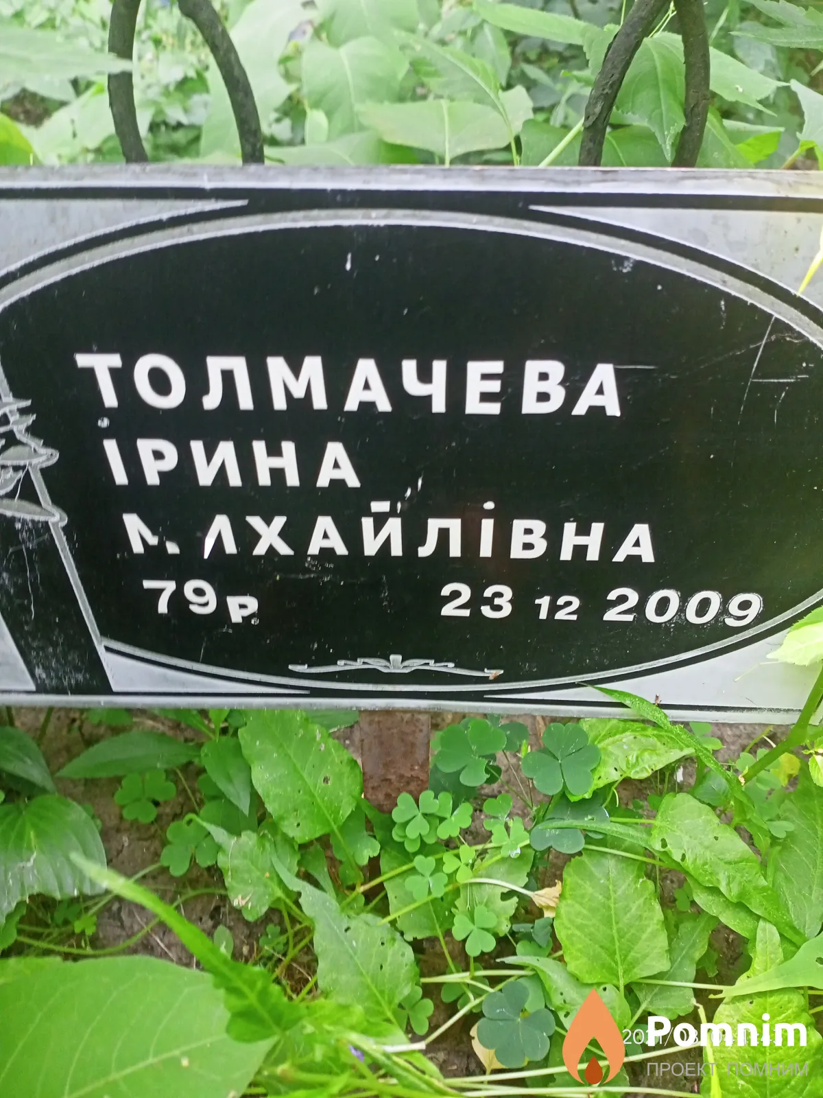 Толмачева Ирина Михайловна