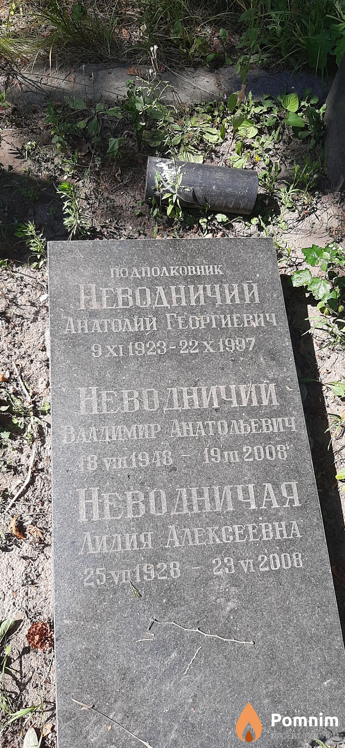 Неводничий Владимир Анатольевич