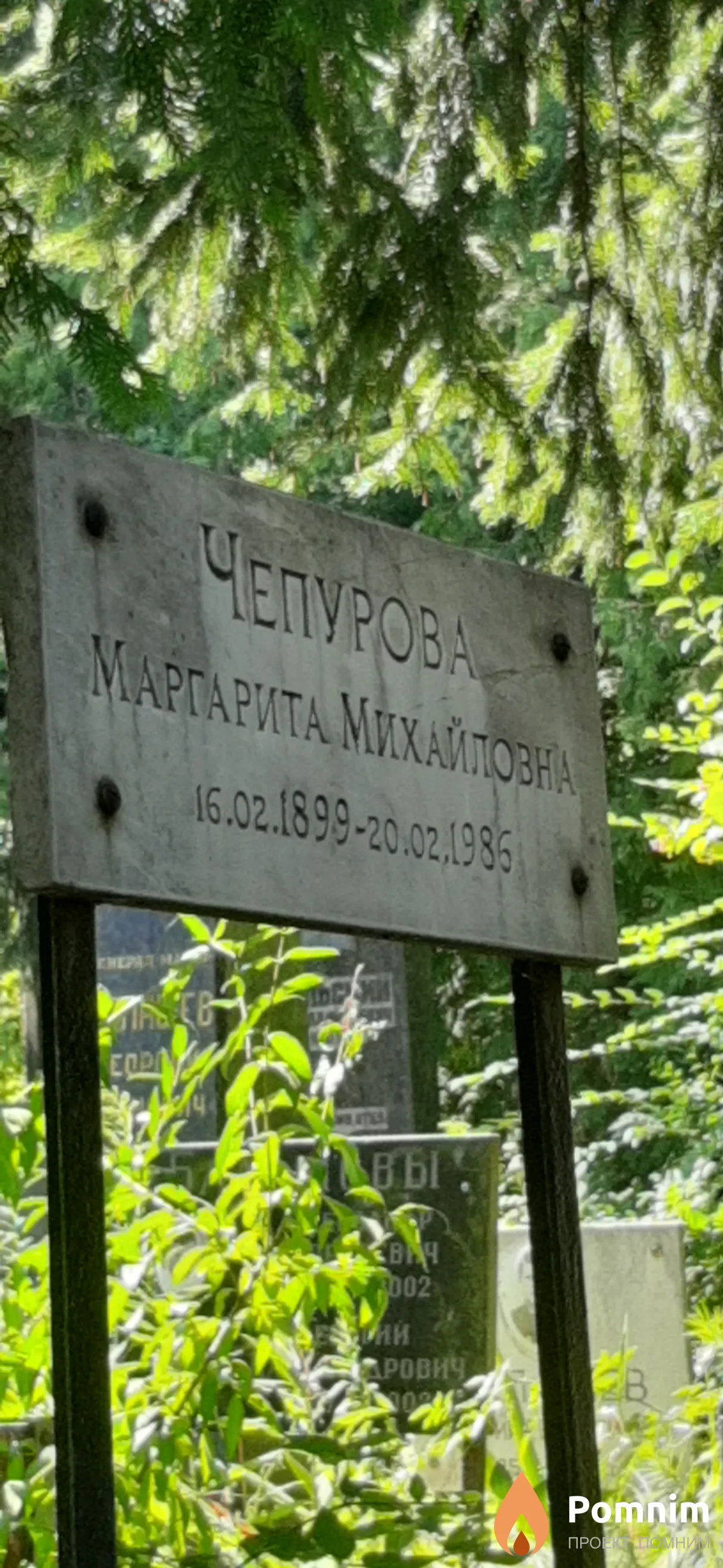 Чепурова Маргарита Михайловна