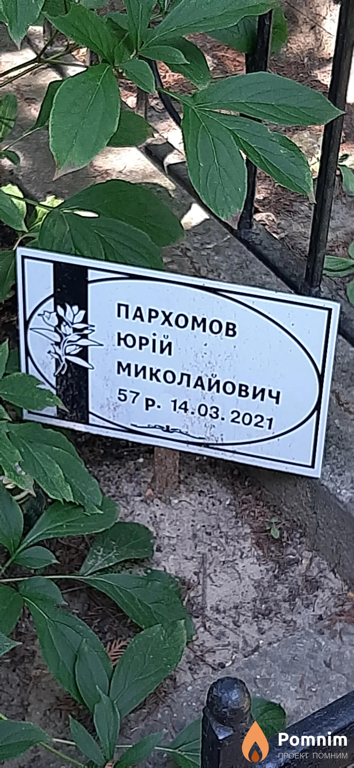 Пархомов Юрий Николаевна