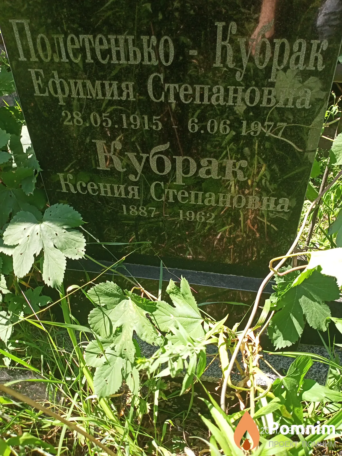 Кубрак Ефимия Степановна