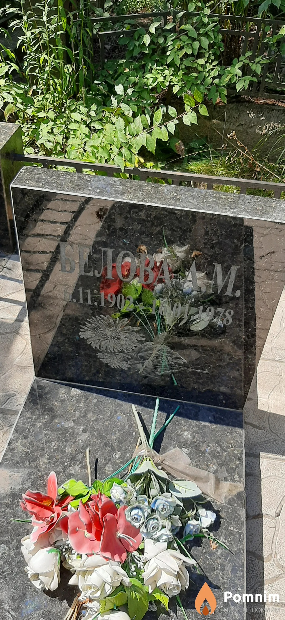 Белова А. М.