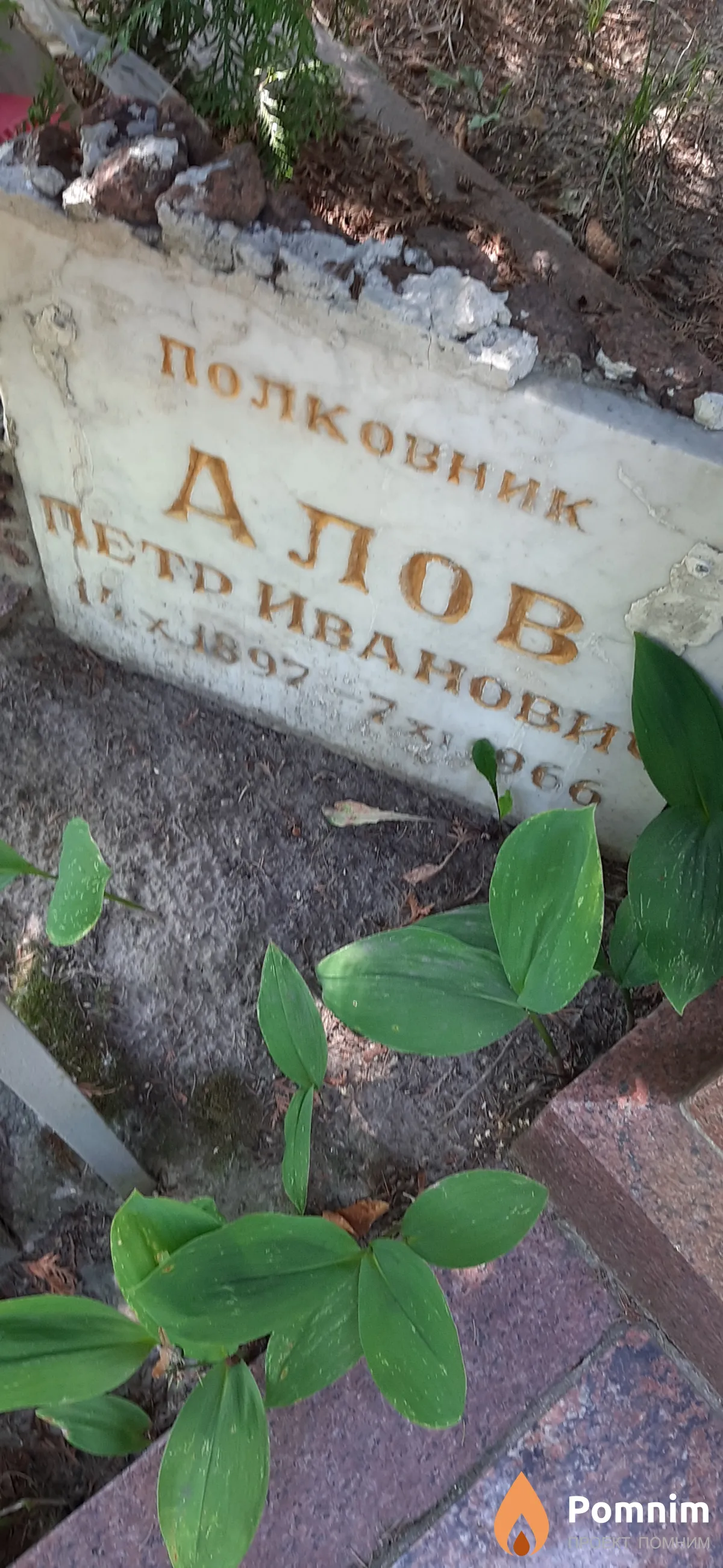 Алов Петр Иванович