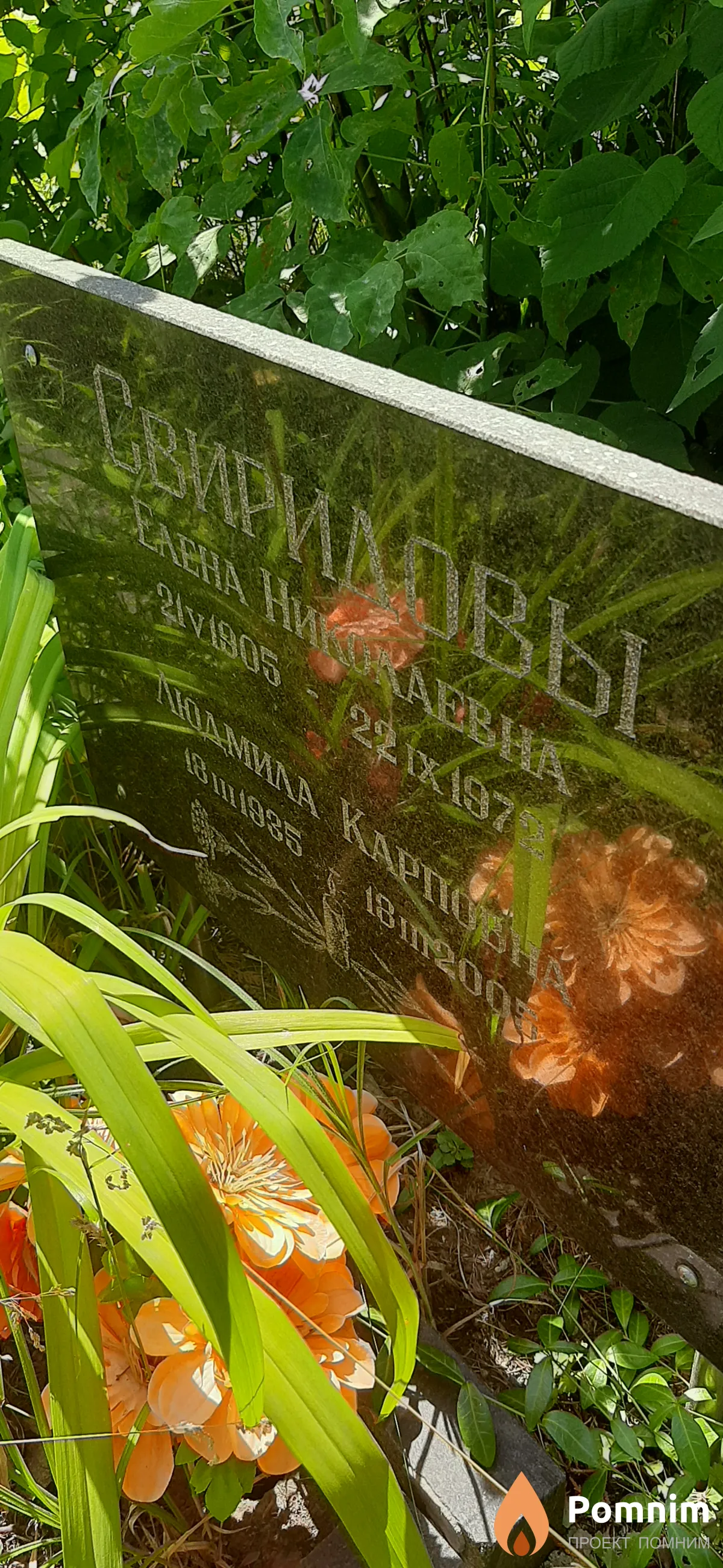 Свиридова Елена Николаевна
