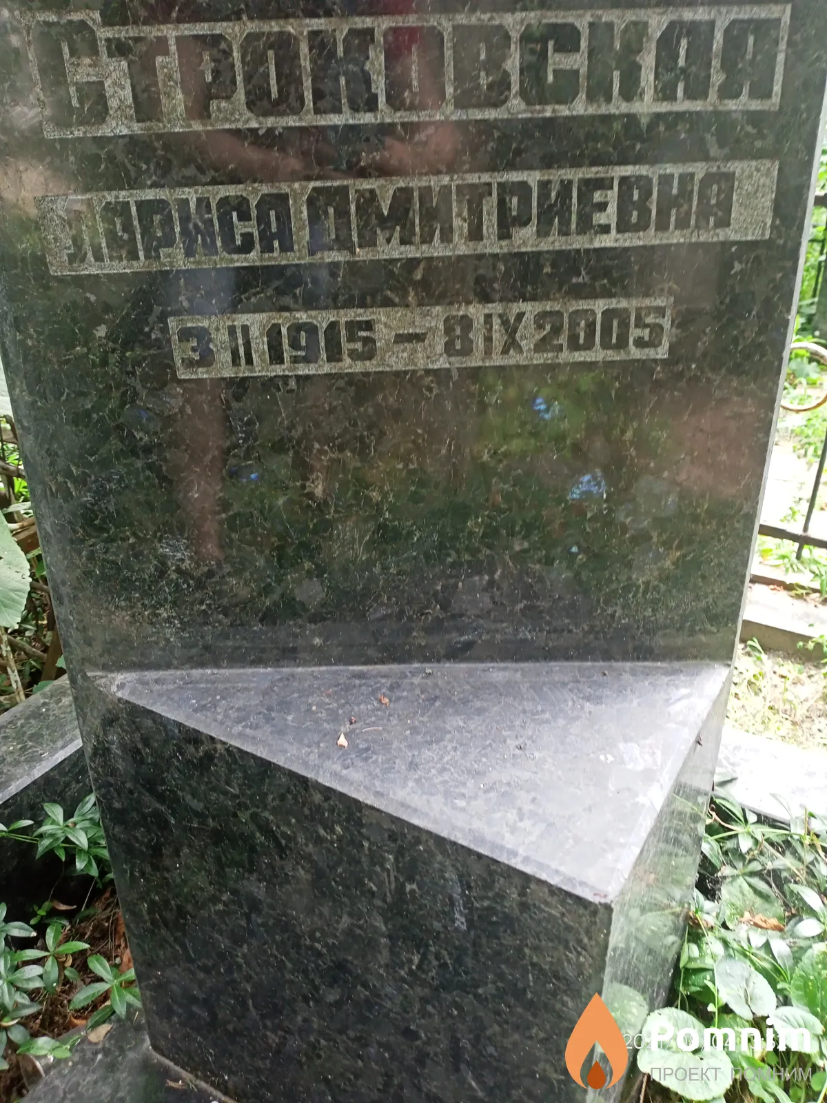Строковская Лариса Дмитриевна