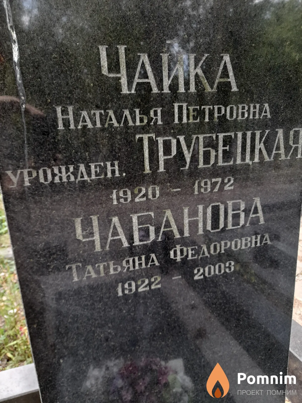 Чайка Наталья Петровна