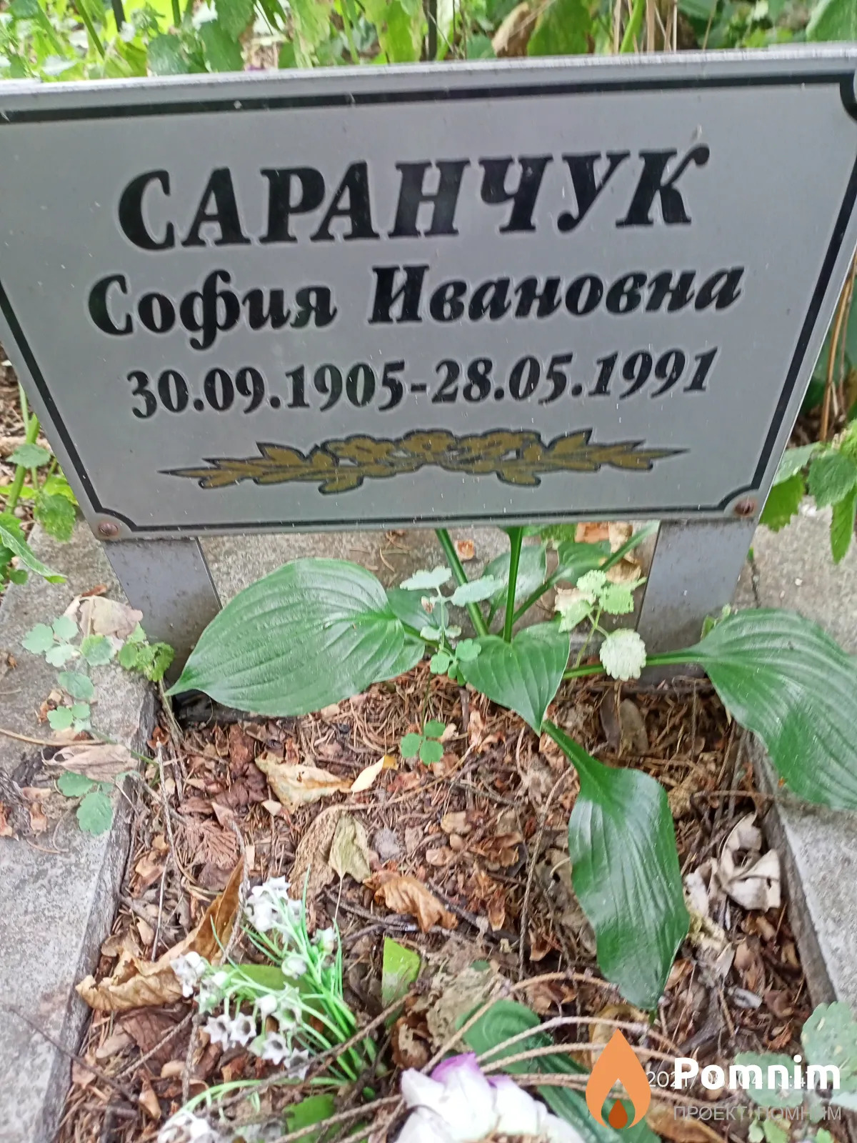 Саранчук София Ивановна