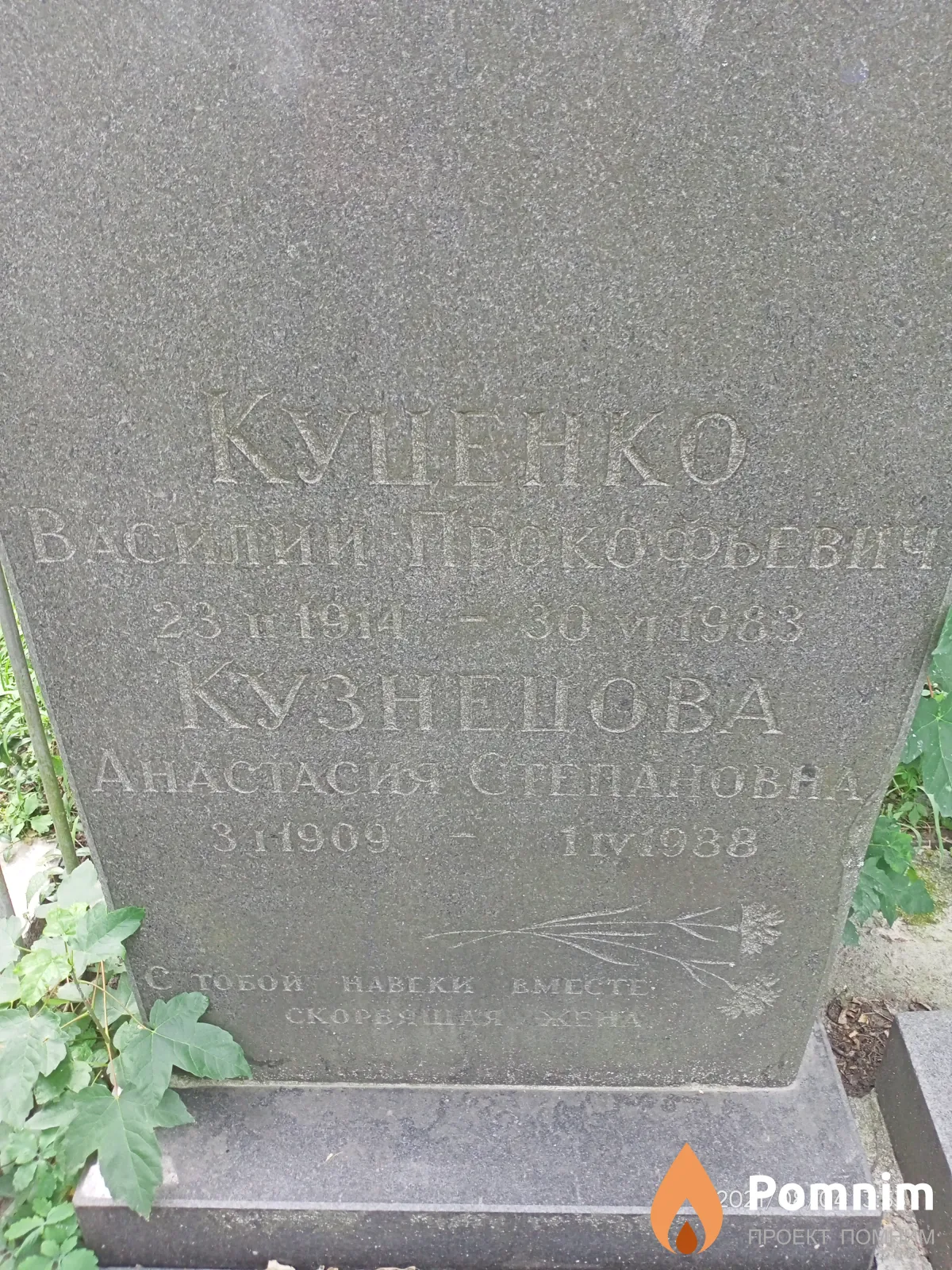 Кузнецова Анастасия Степановна