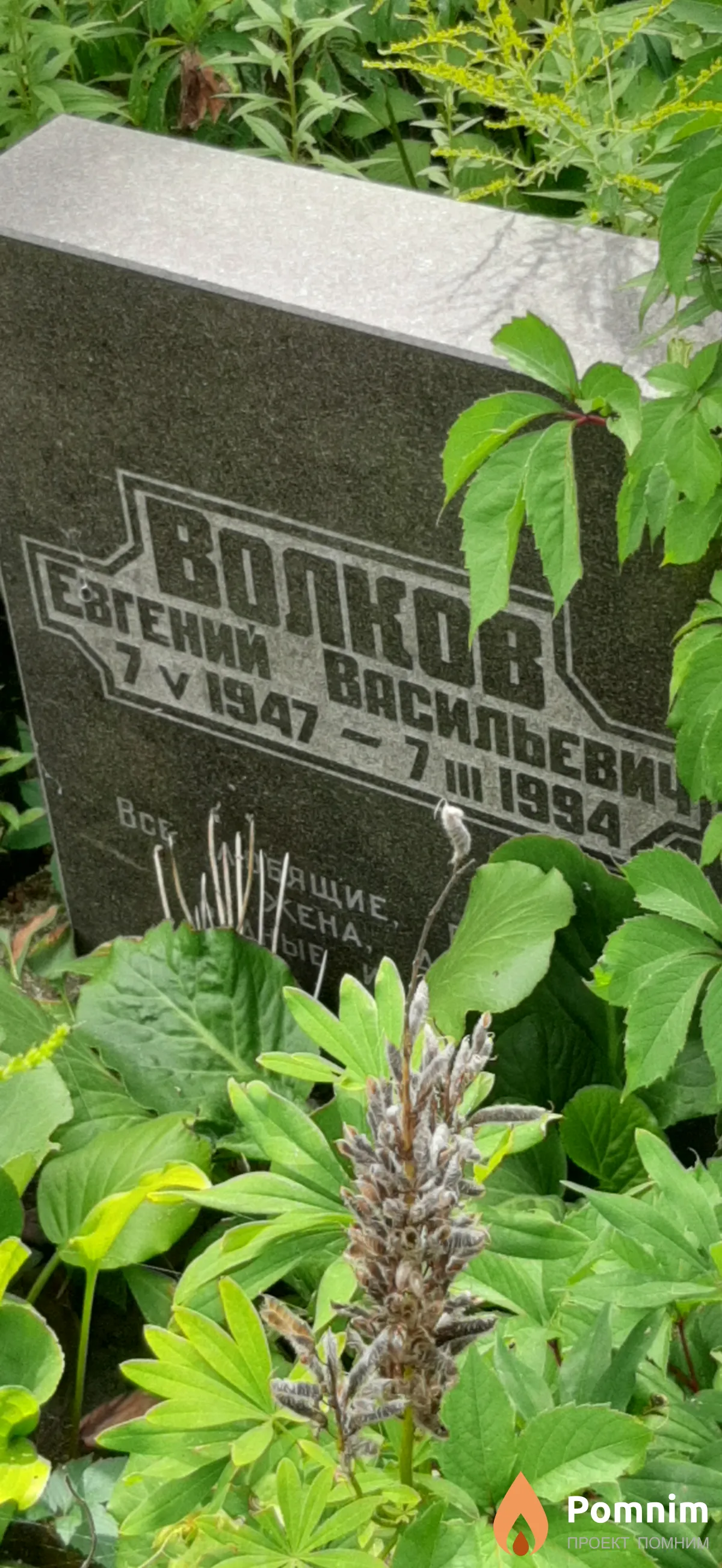 Волков Евгений Васильевич