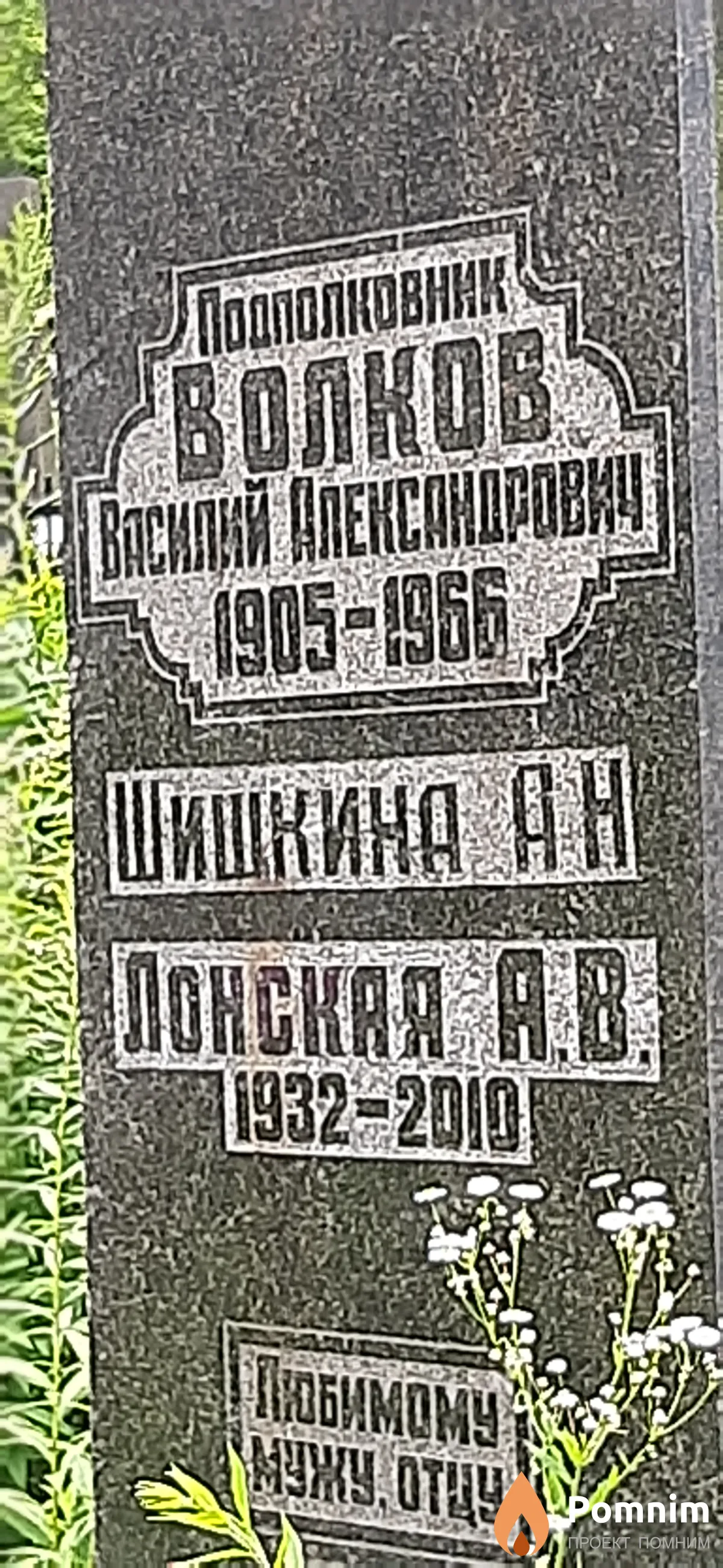 Шишкина А. Н.