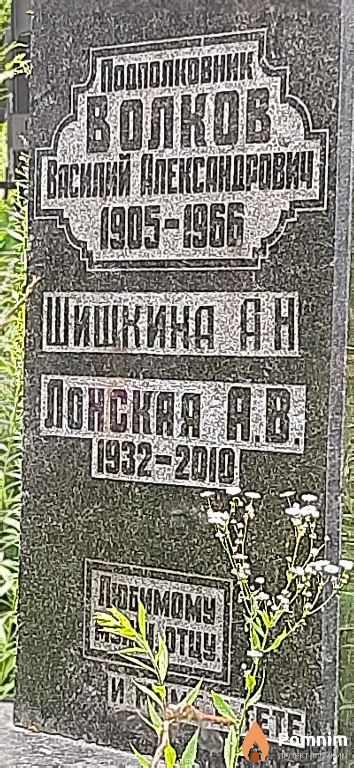 Лонская А. В