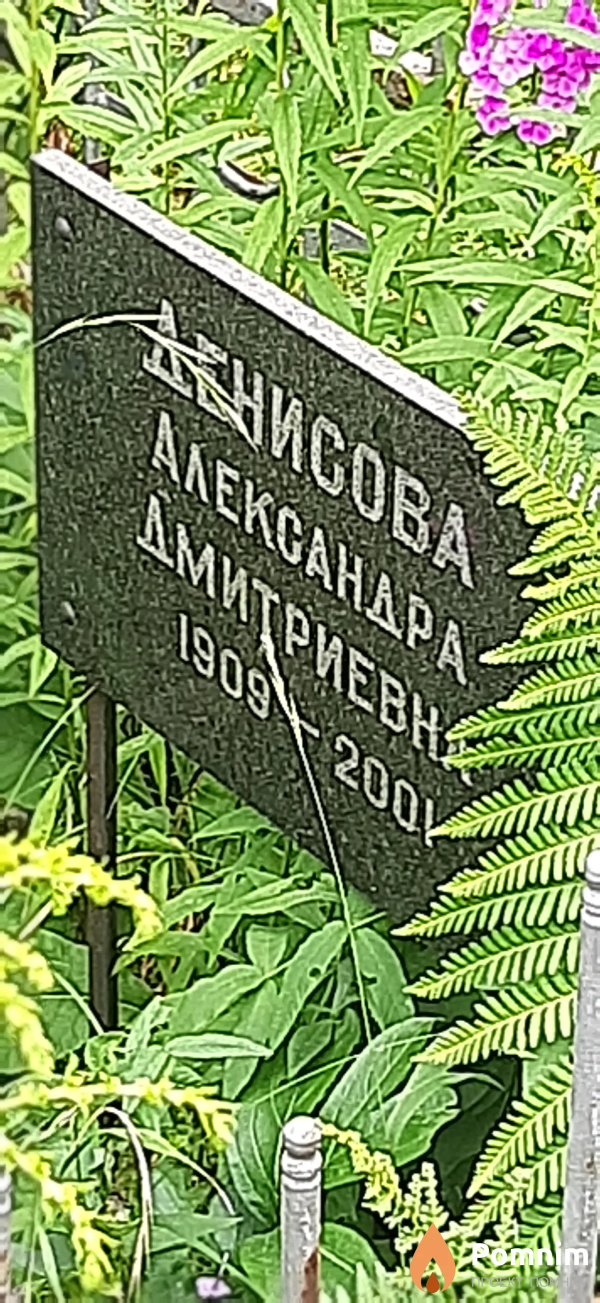 Денисова Александра Диитриевна