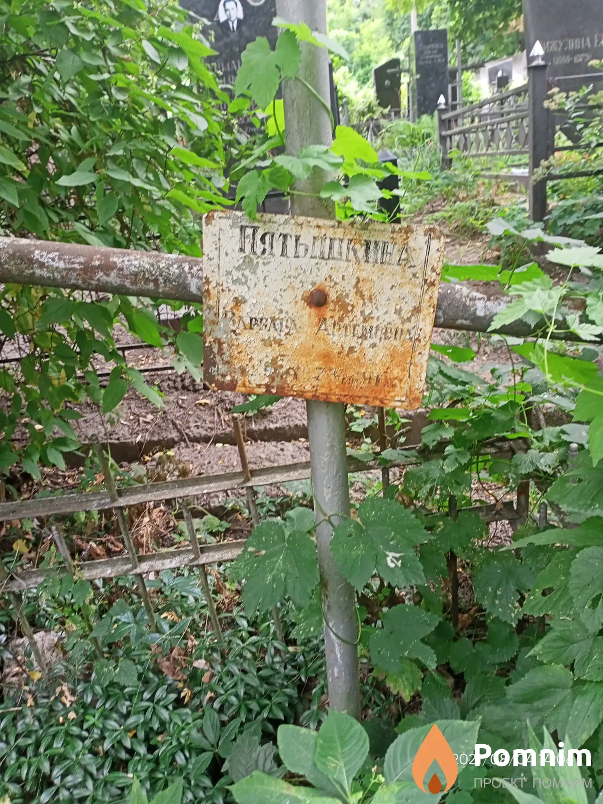 Пятышкина Варвара Артёмовна