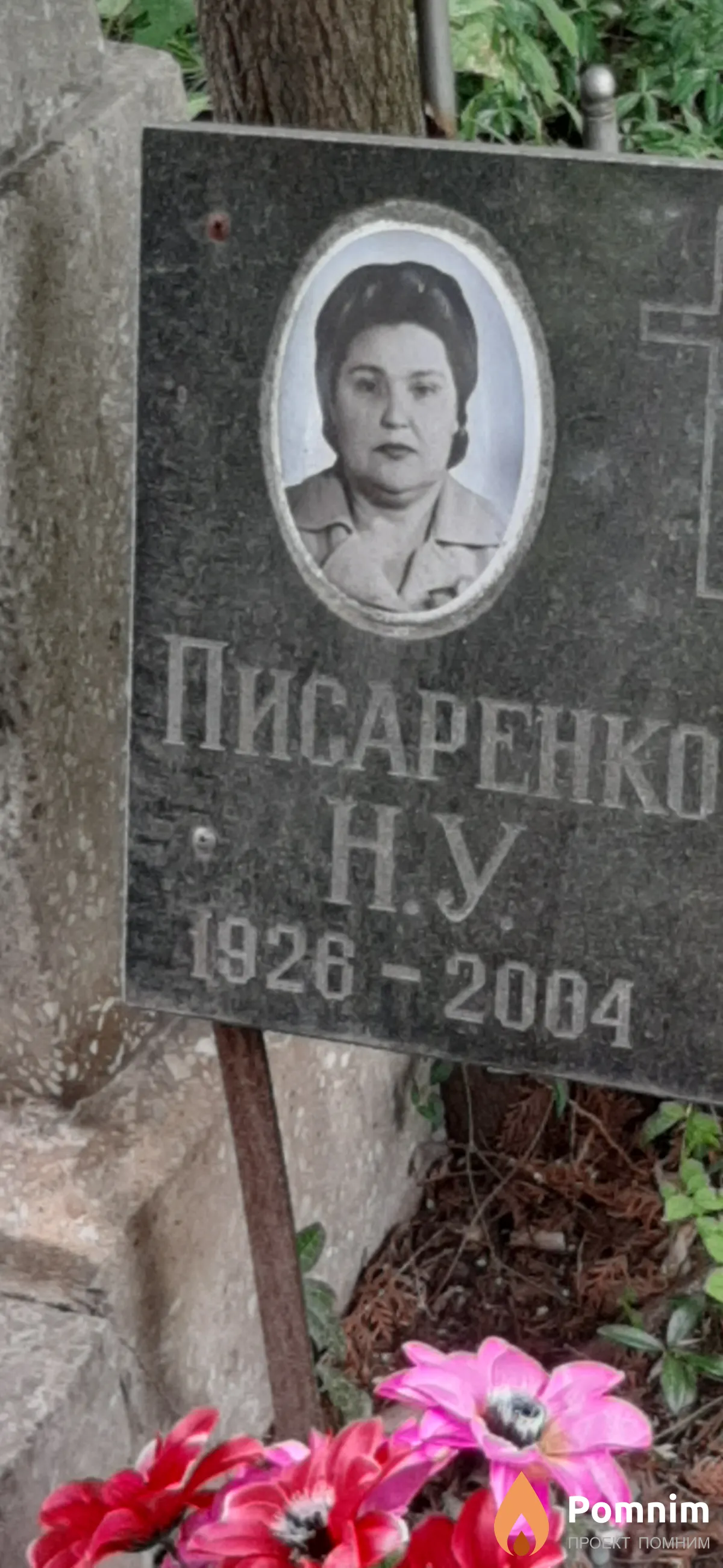 Писаренко Н. У.