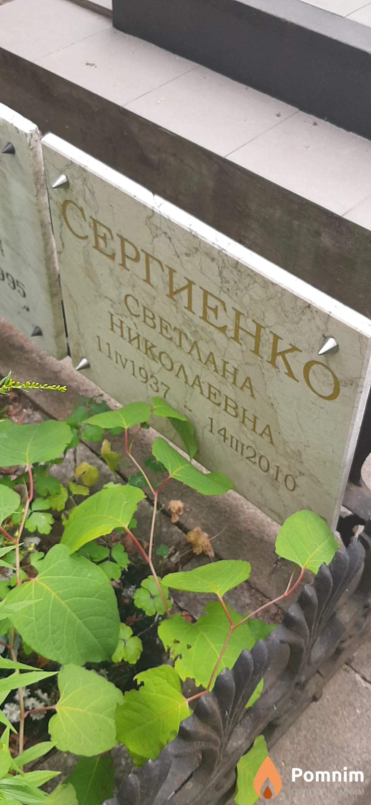 Сергиенко Светлана Николаевна