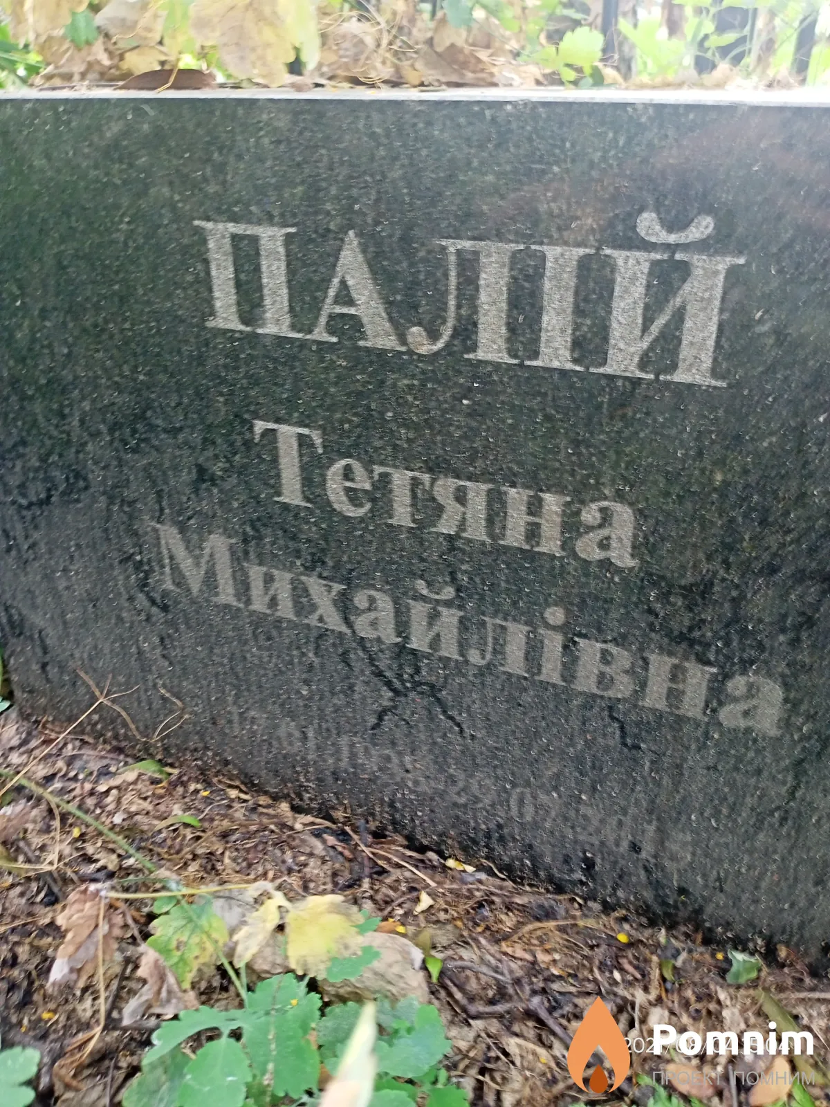 Палій Тетяна Михайлівна
