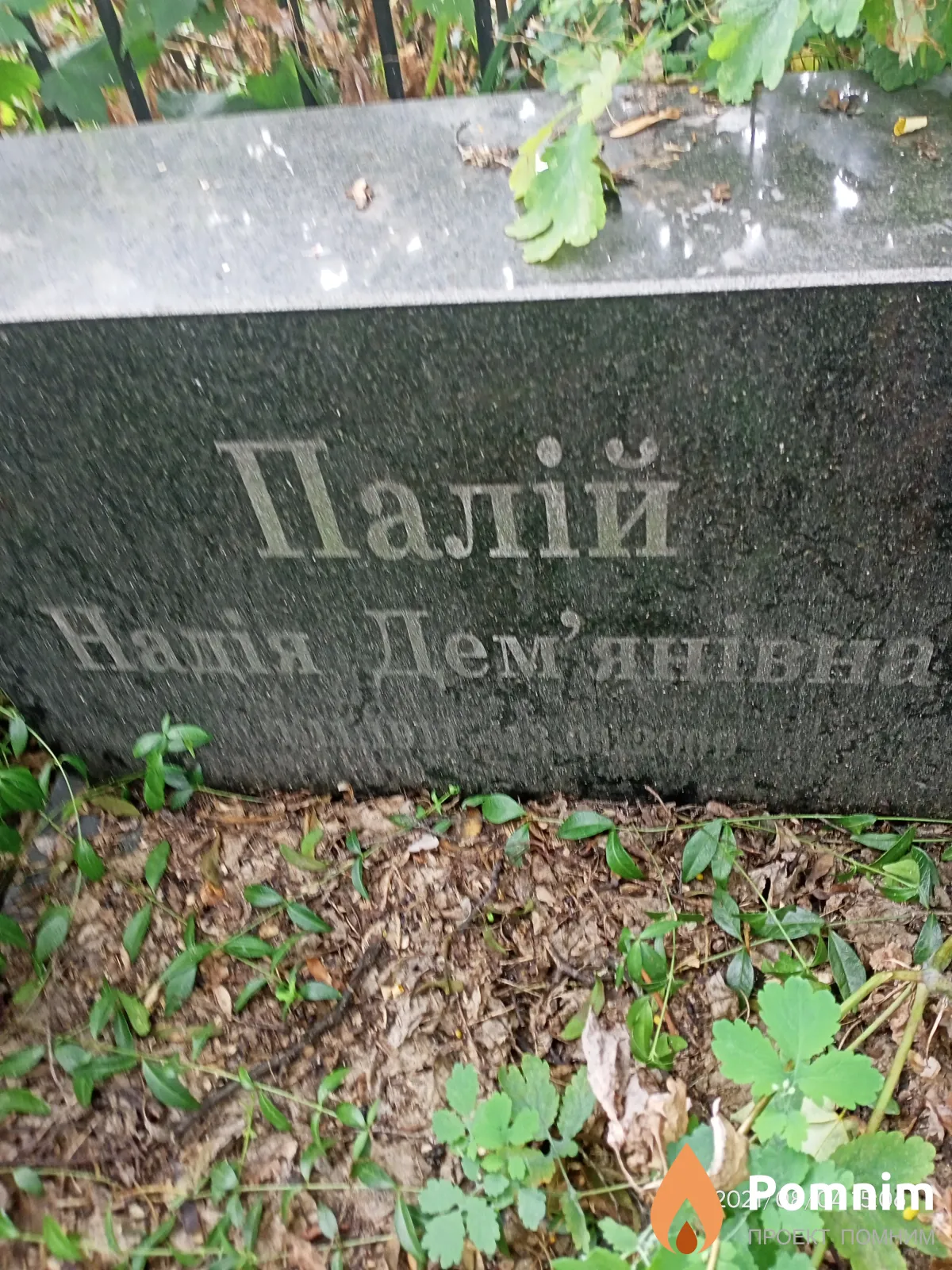 Палій Надія Демянівна