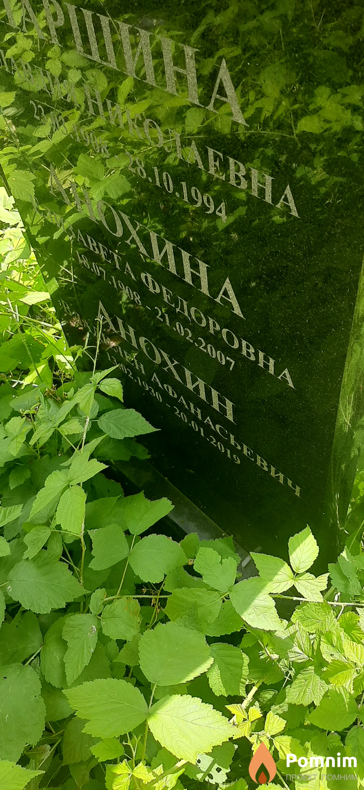 Анохин Елизавета Федоровна
