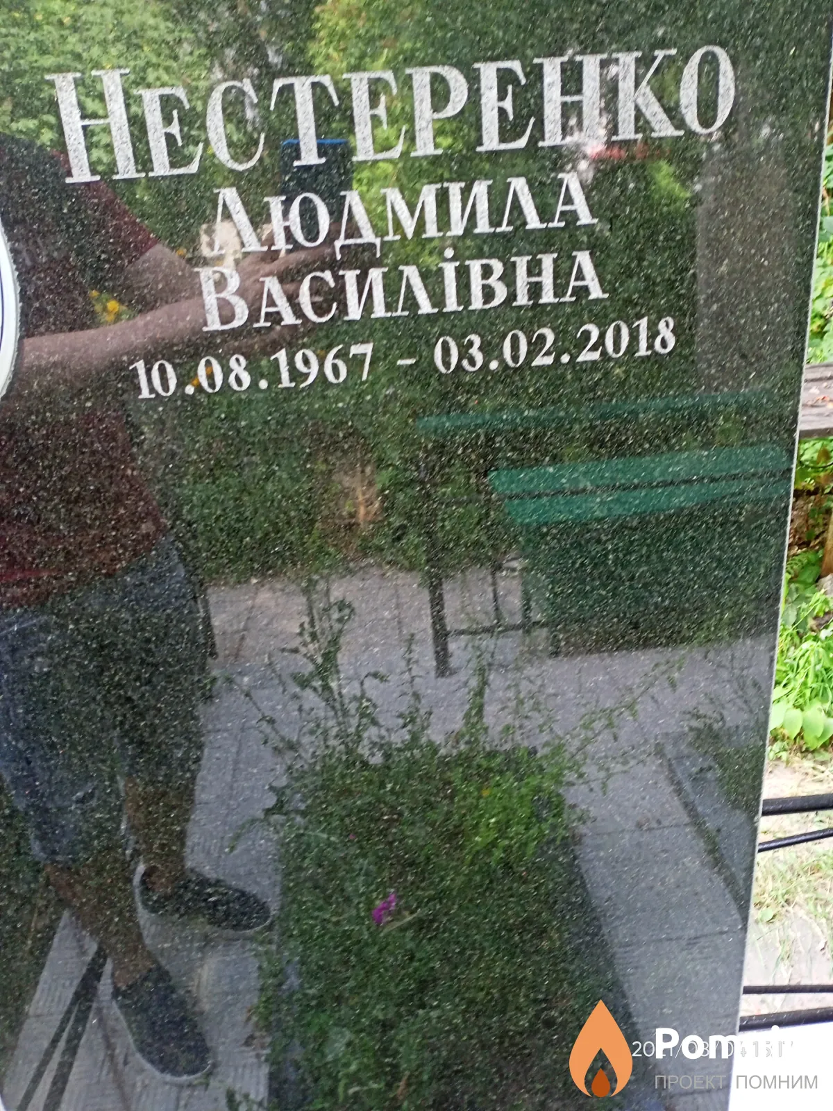 Нестеренко Людмила Василівна