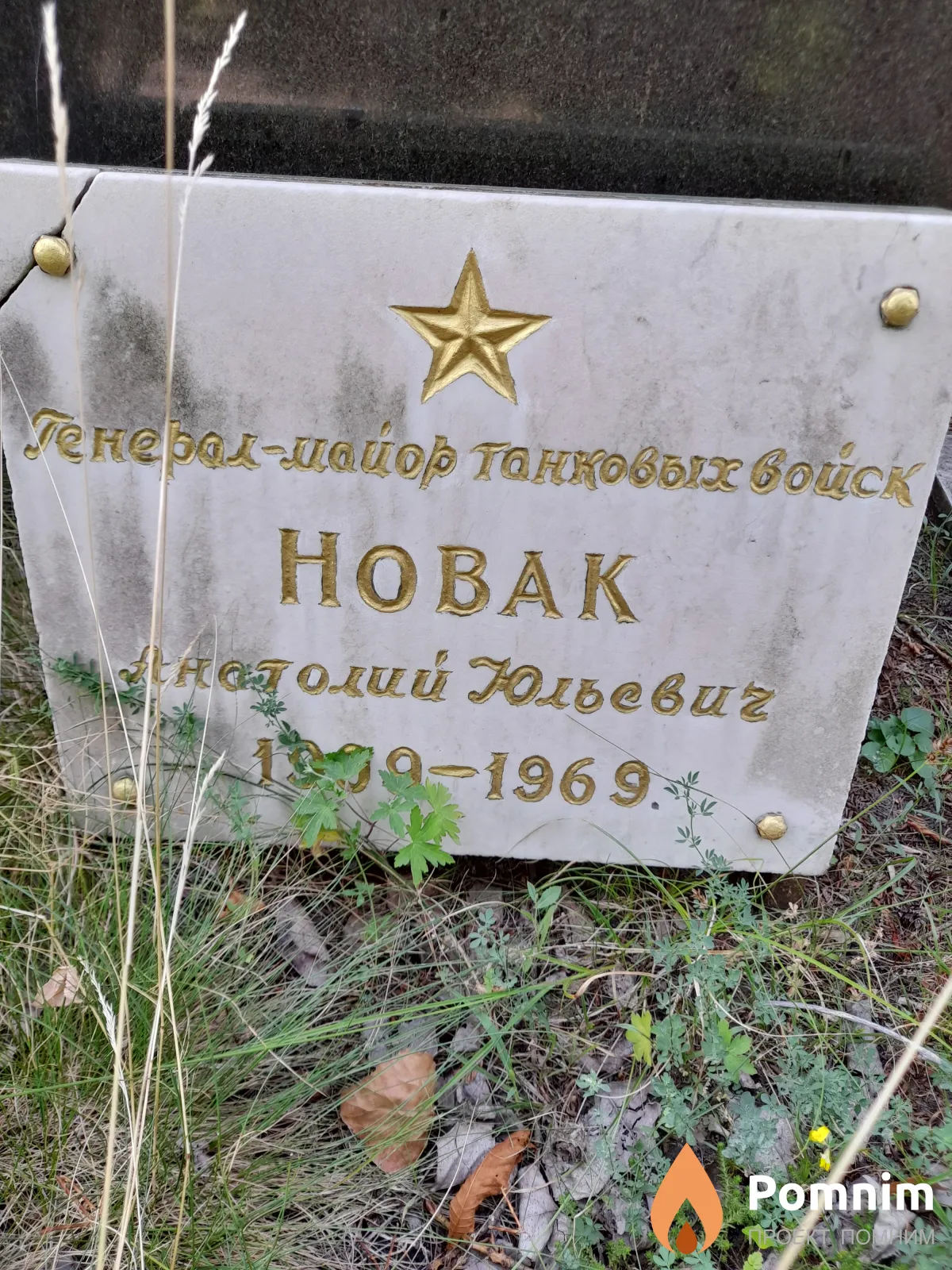 Новак Анатолий Юльевич