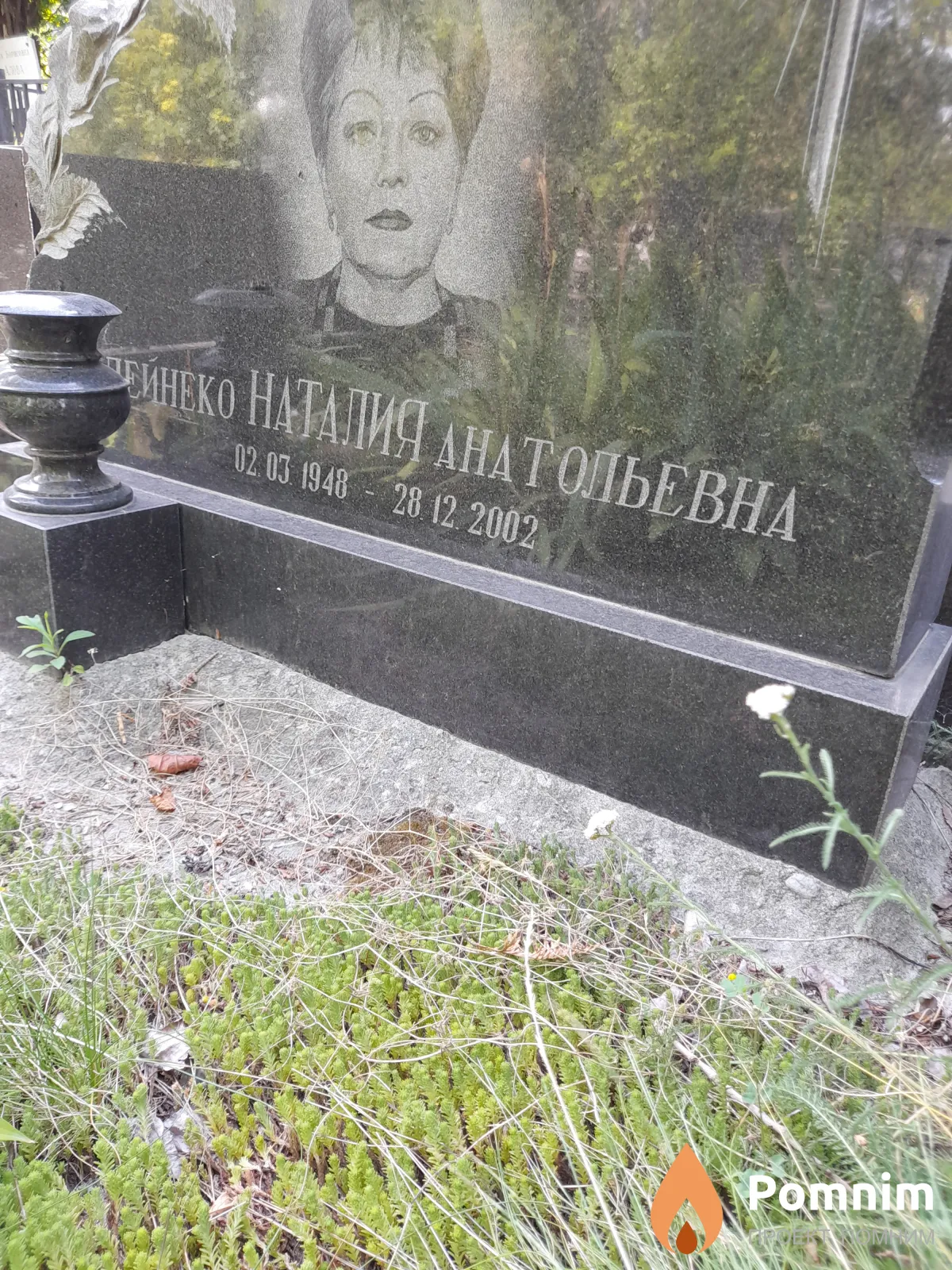Дейнеко Наталия Анатольевна