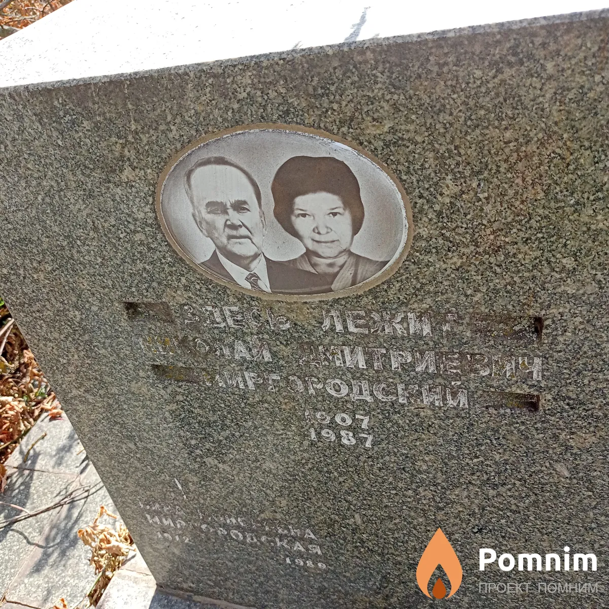 Миргородский Николай Дмитриевич