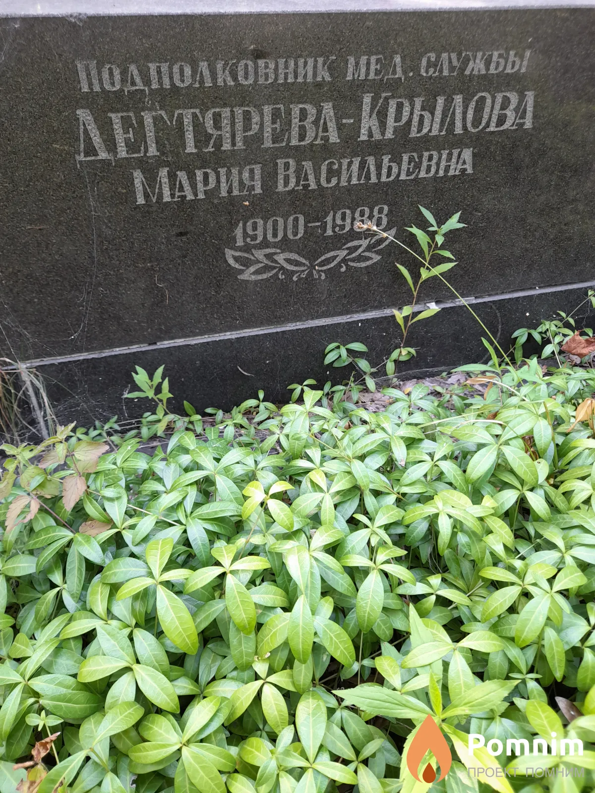 Дегтярева-Крылова Мария Васильевна