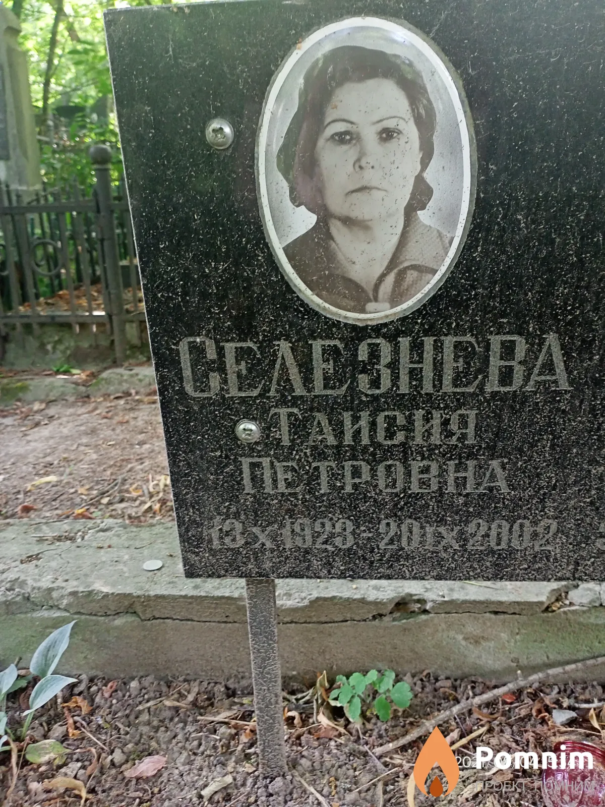 Селезнева Таисия Петровна