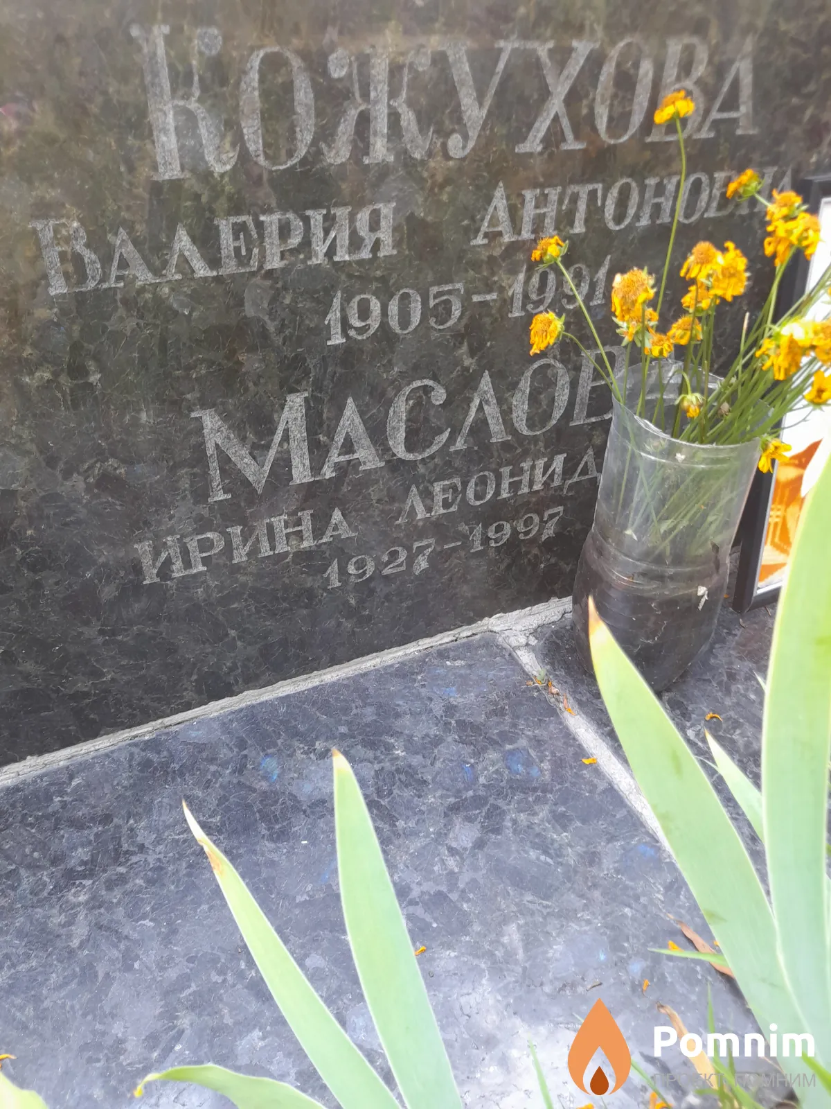 Кожухова Валерия Антоновна
