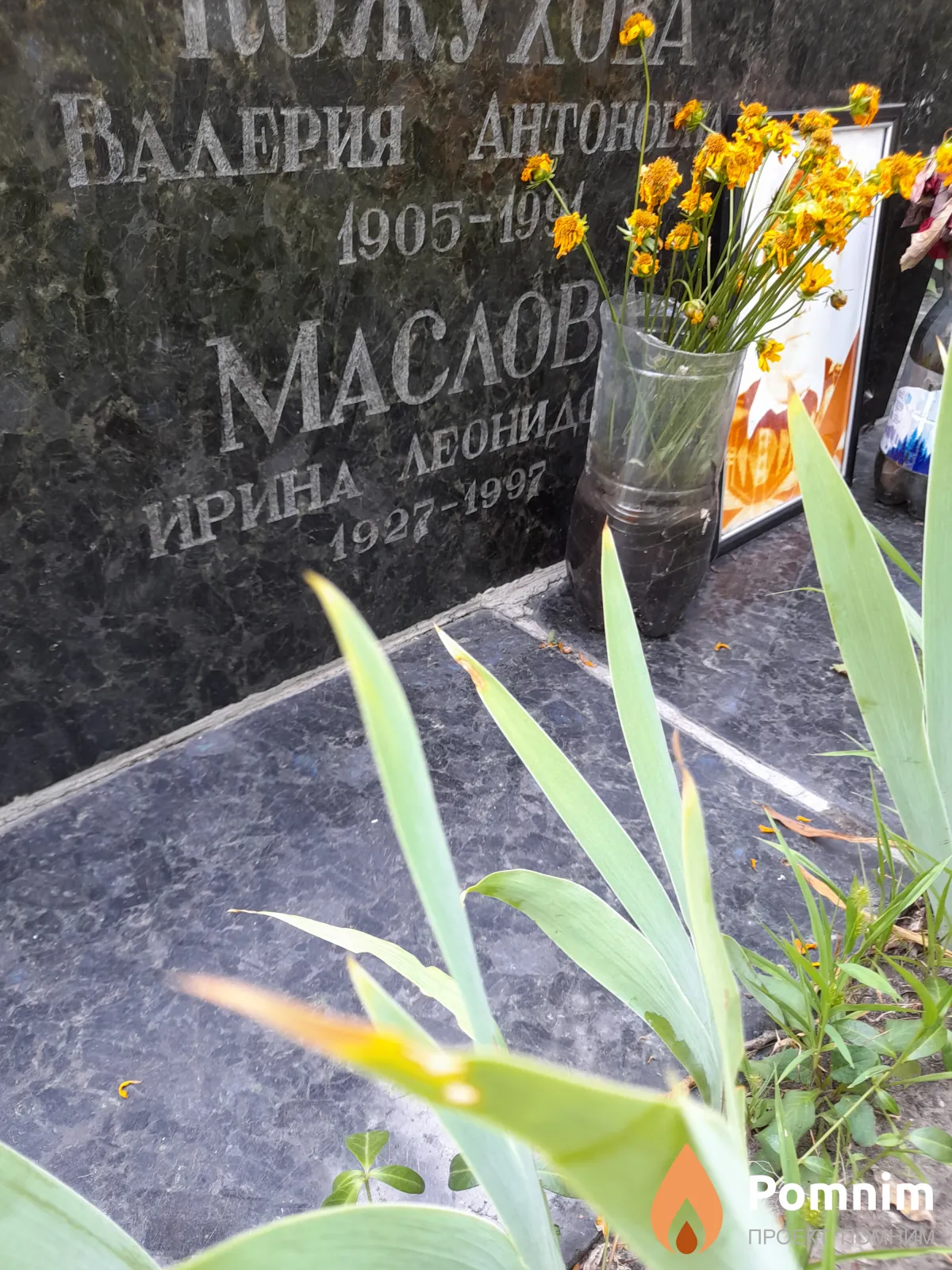 Маслова Ирина Леонидовна