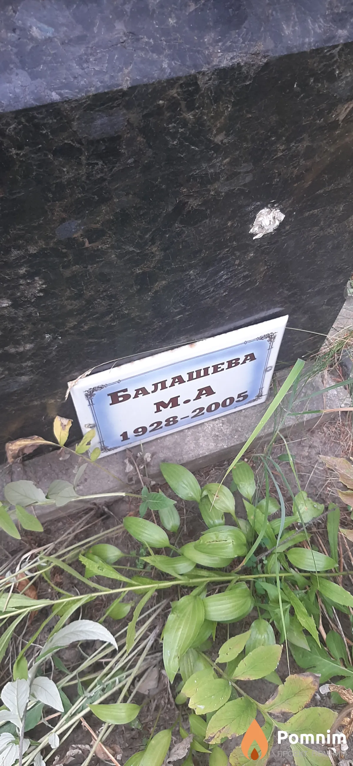 Балашева М. А.