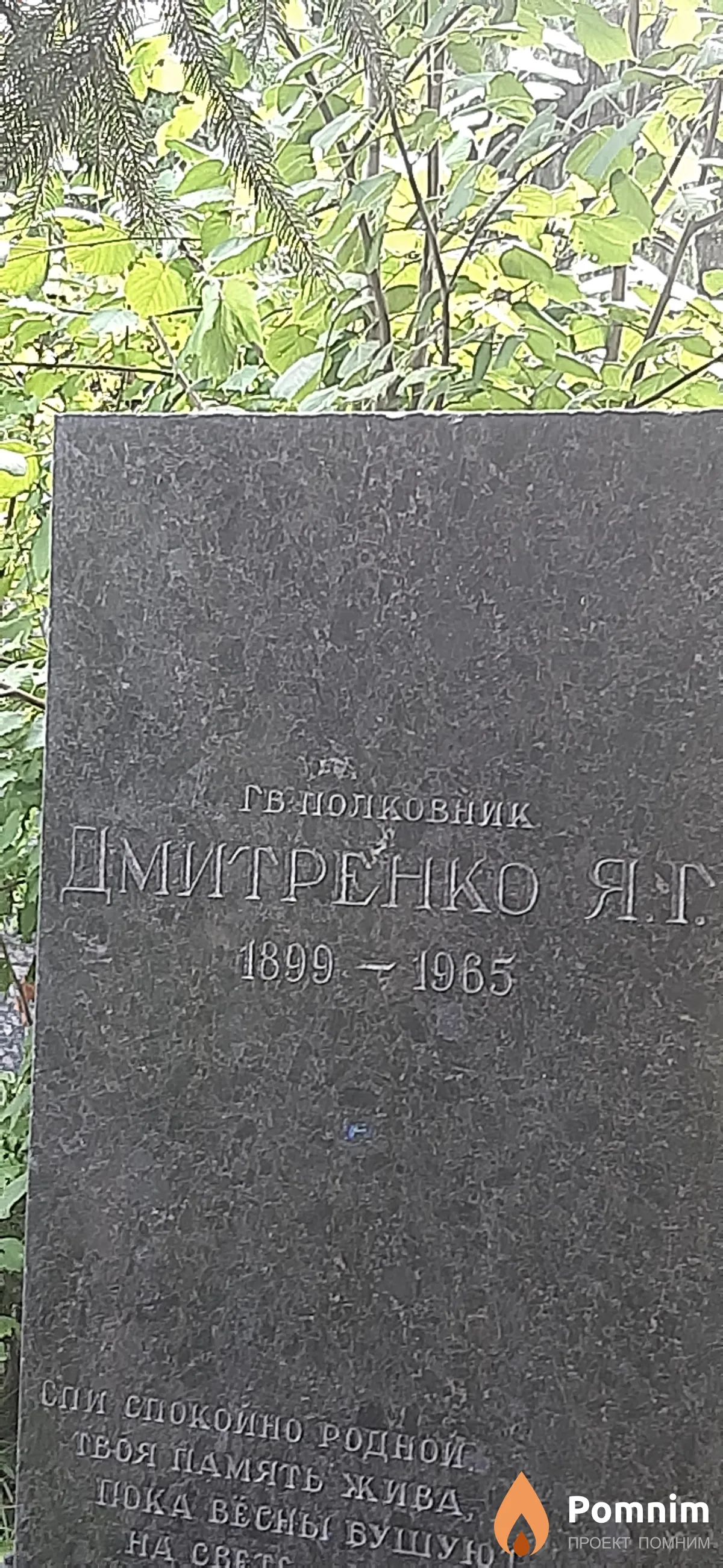 Дмитренко Я. Г.