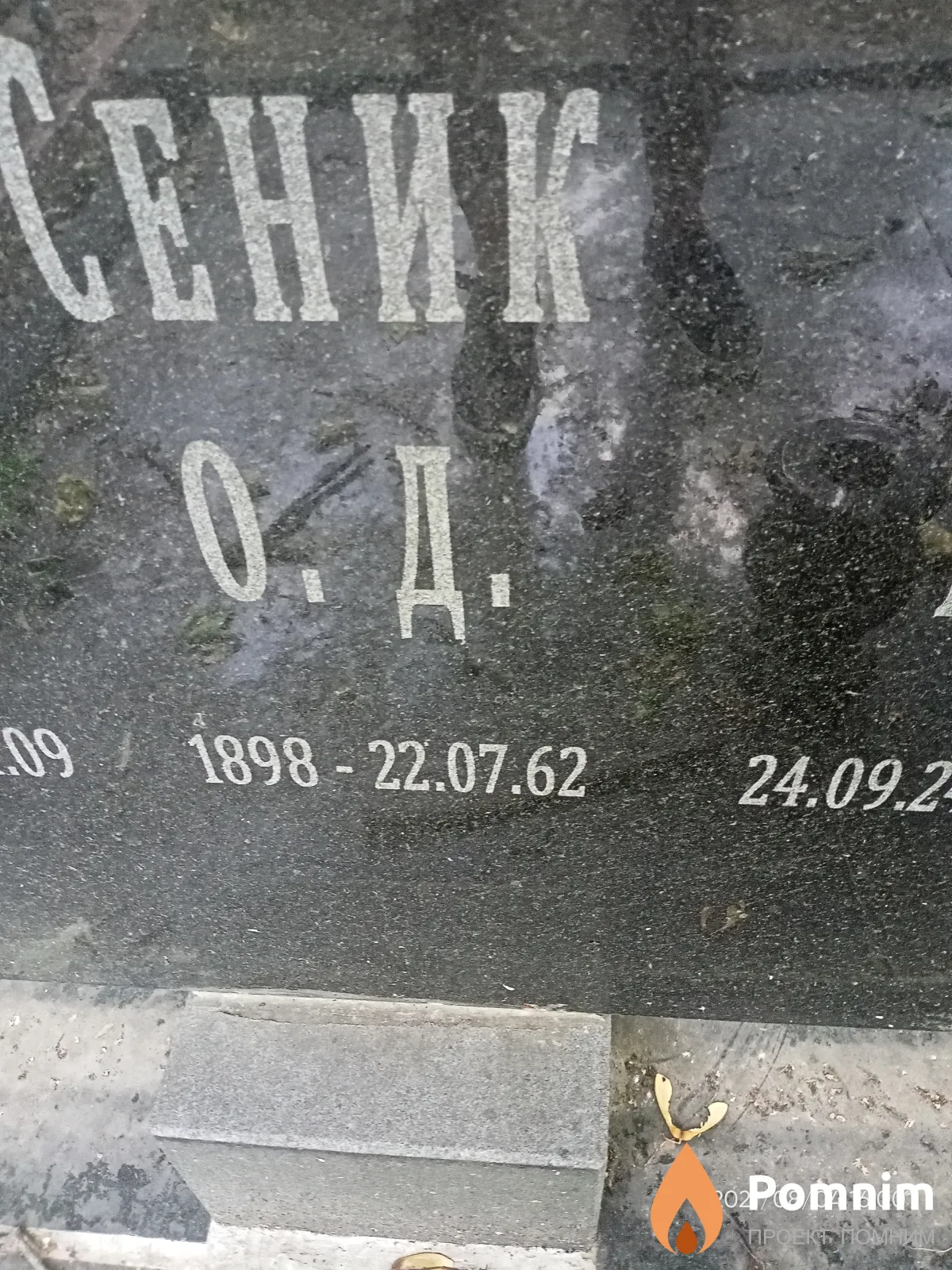 Сеник О. Д.