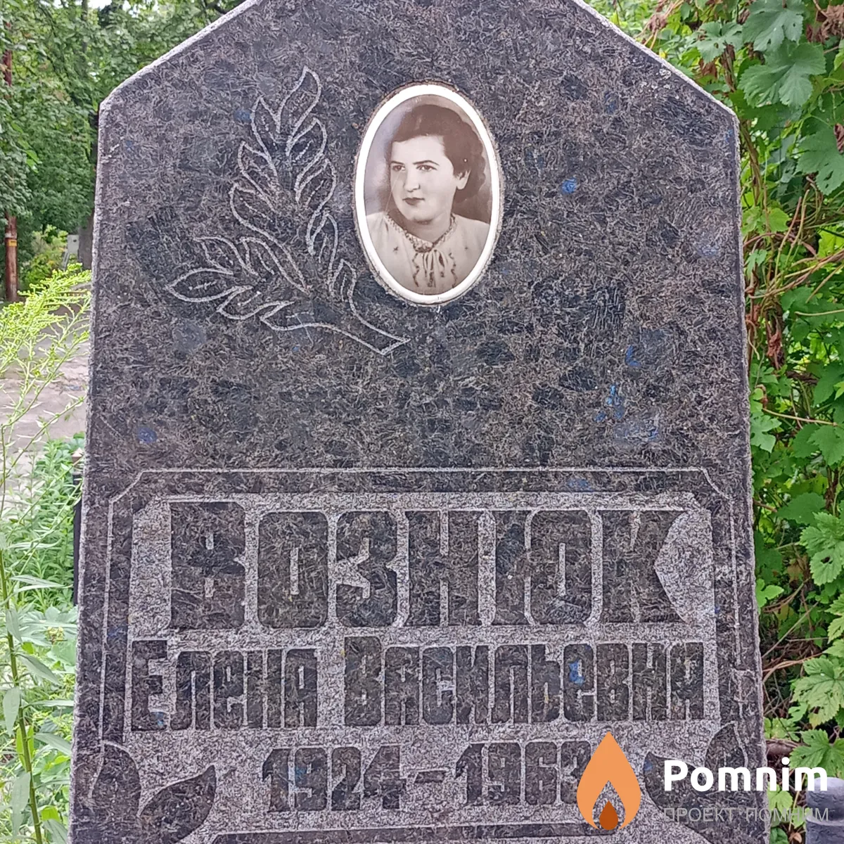 Аознюк Елена Васильевна
