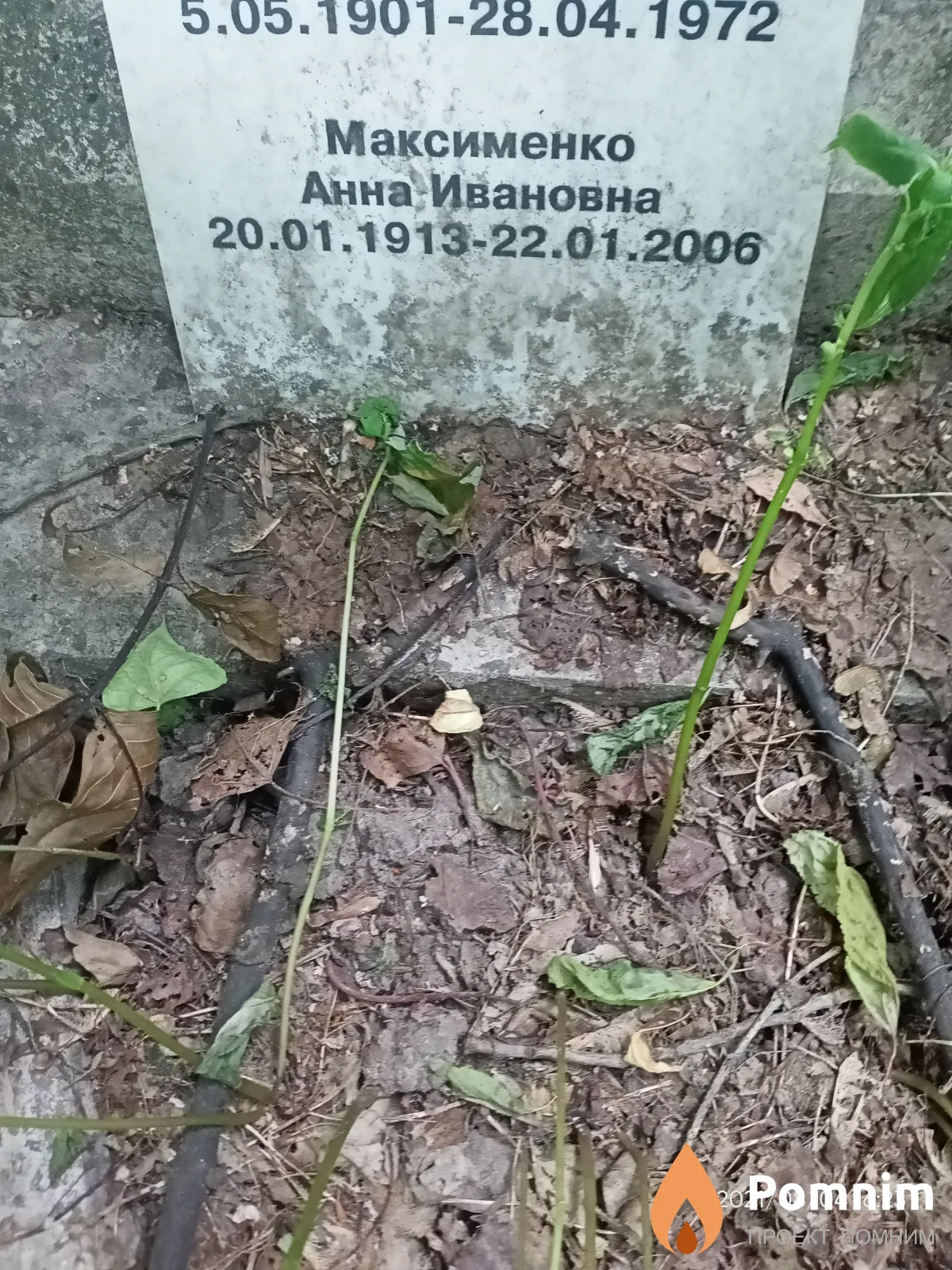 Максименко Анна Ивановна
