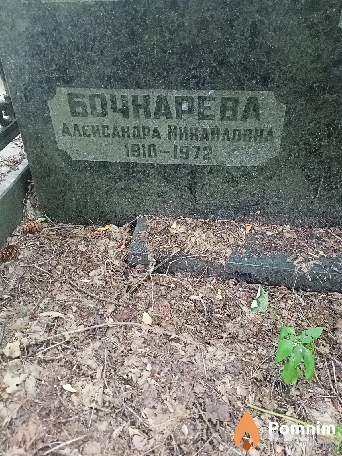 Бочкарёва Александра Михайловна
