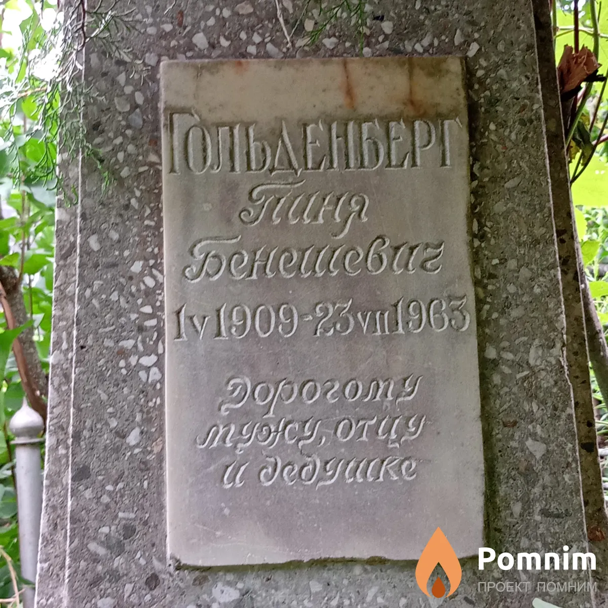 Гольденберг Нина Бенешевич