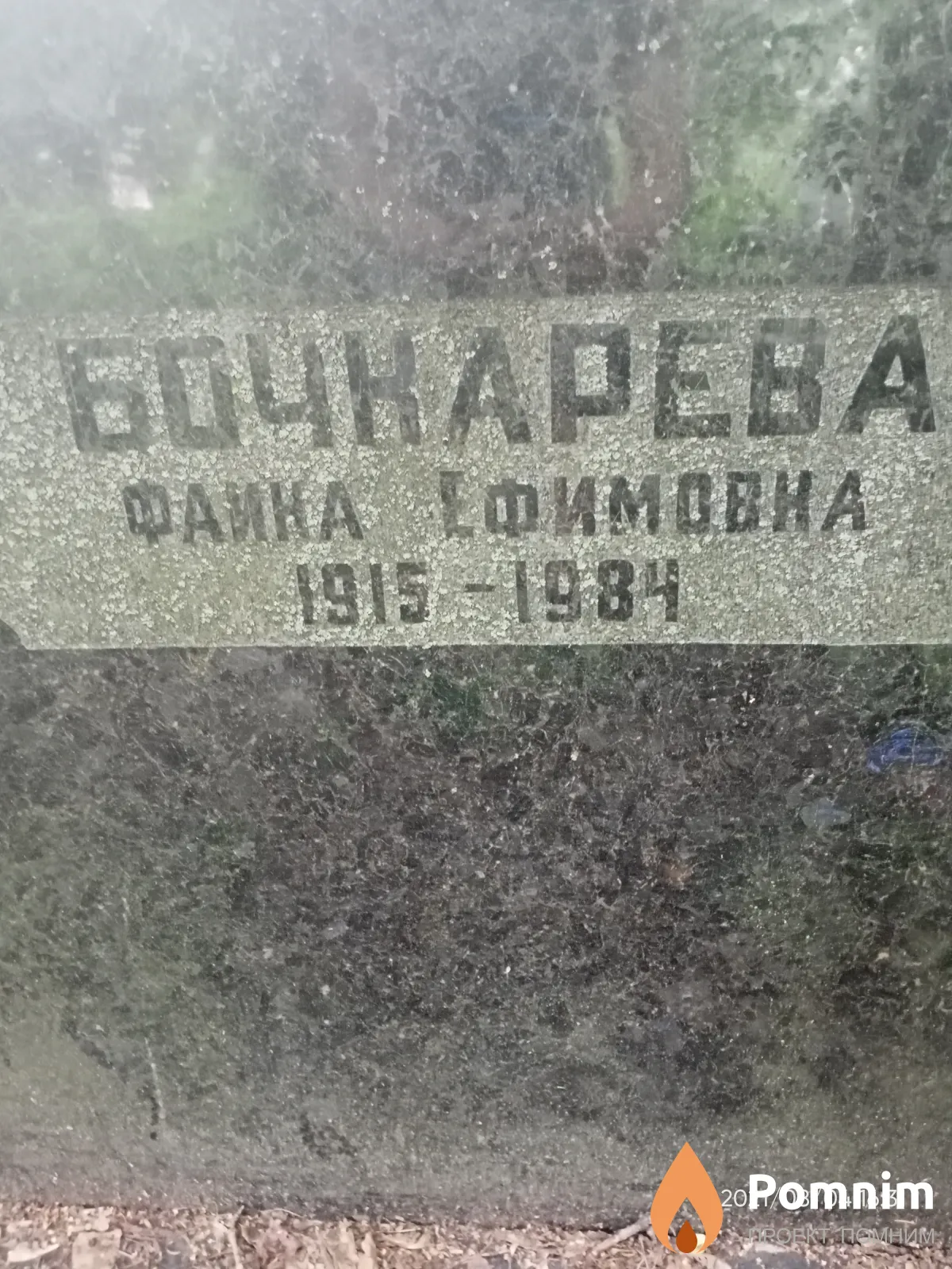 Бочкарева Фаина Ефимовна