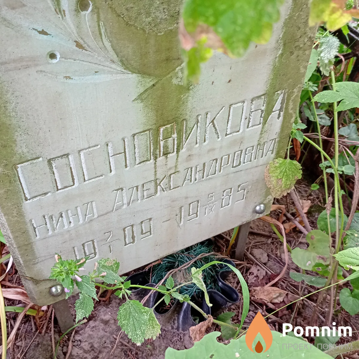 Сосновикова Нина Александровна