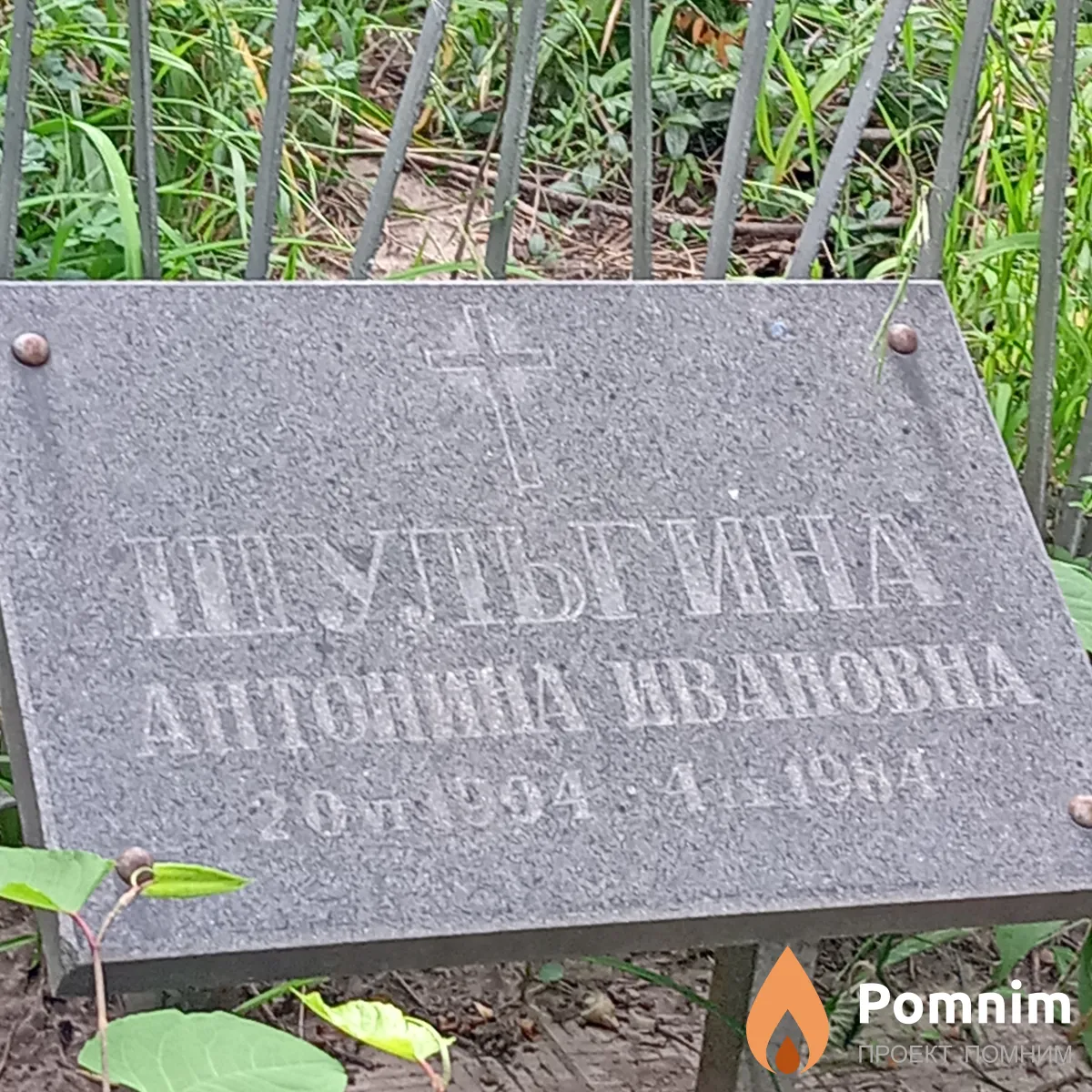 Шульгина Антонина Ивановна