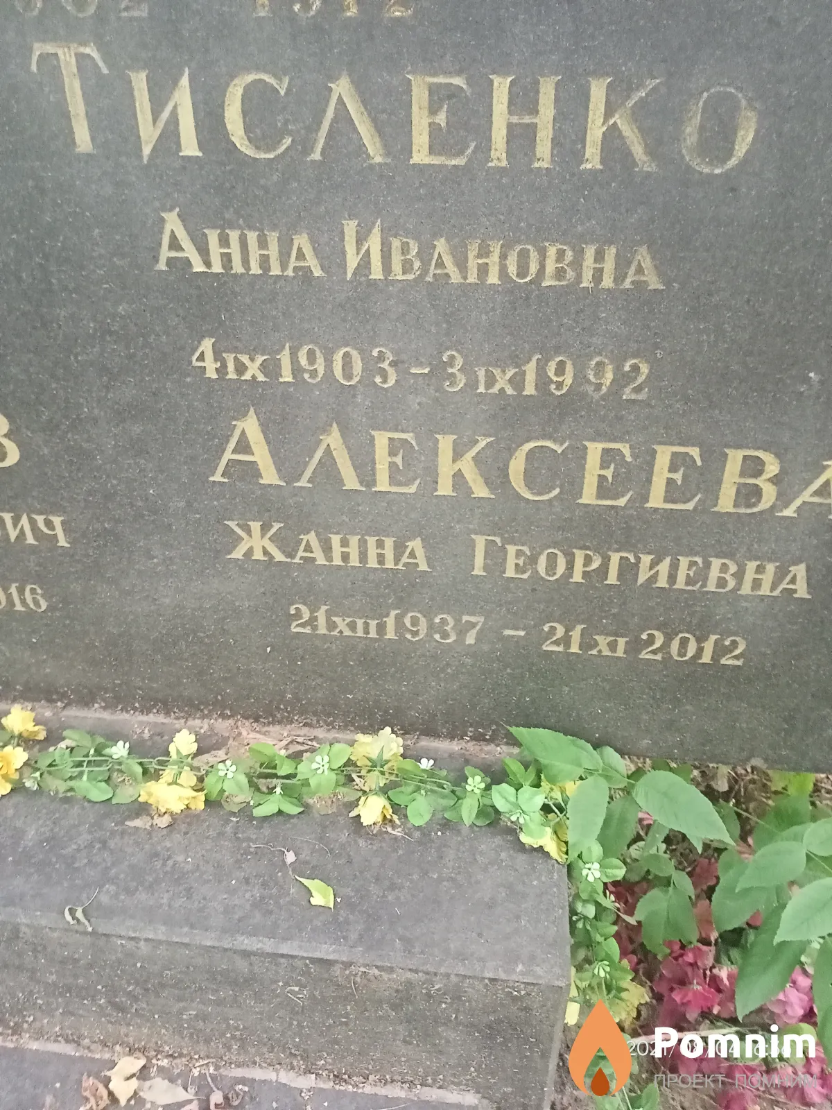 Тисленко Анна Ивановна
