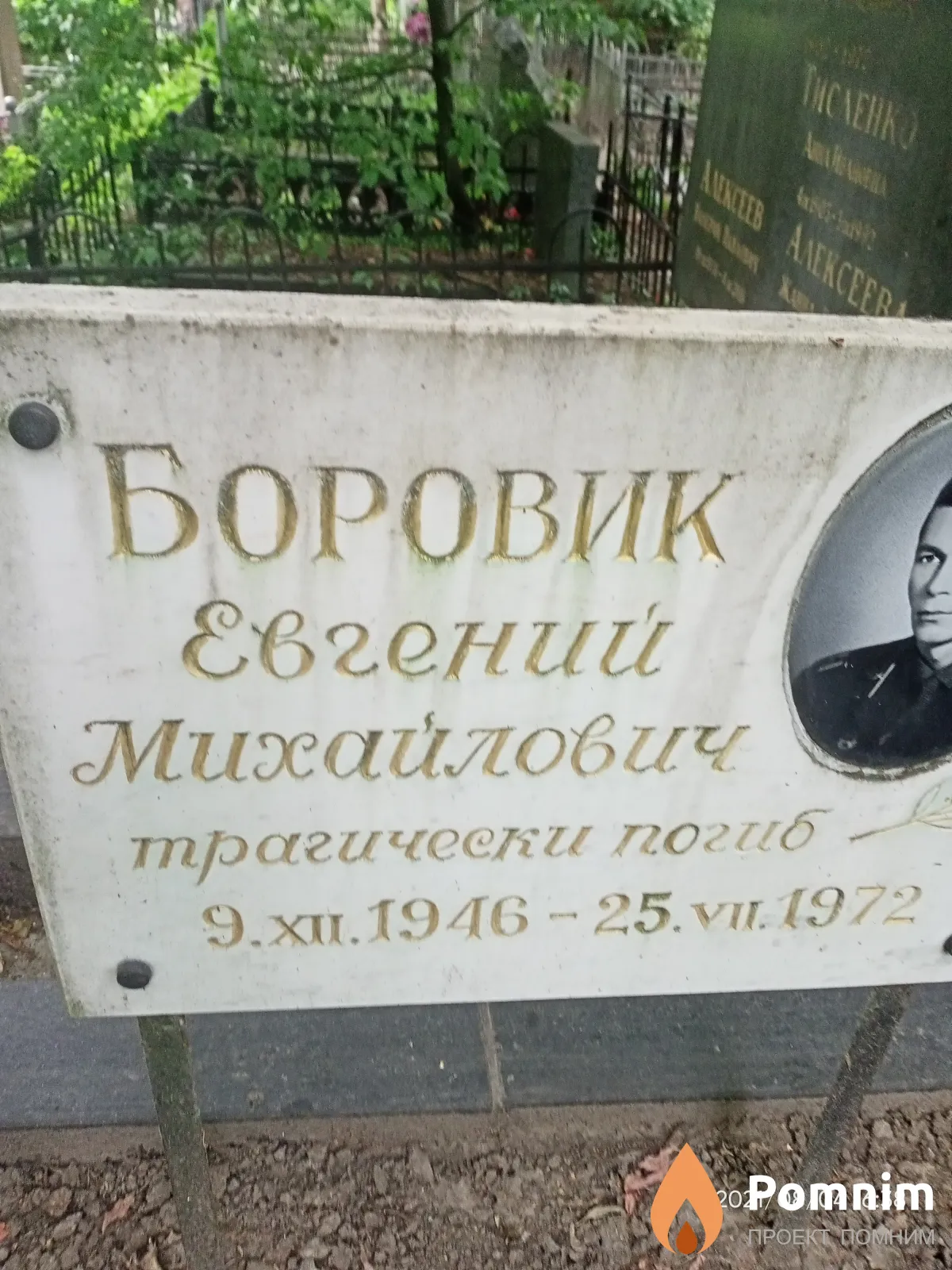 Боровик Евгений Михайлович